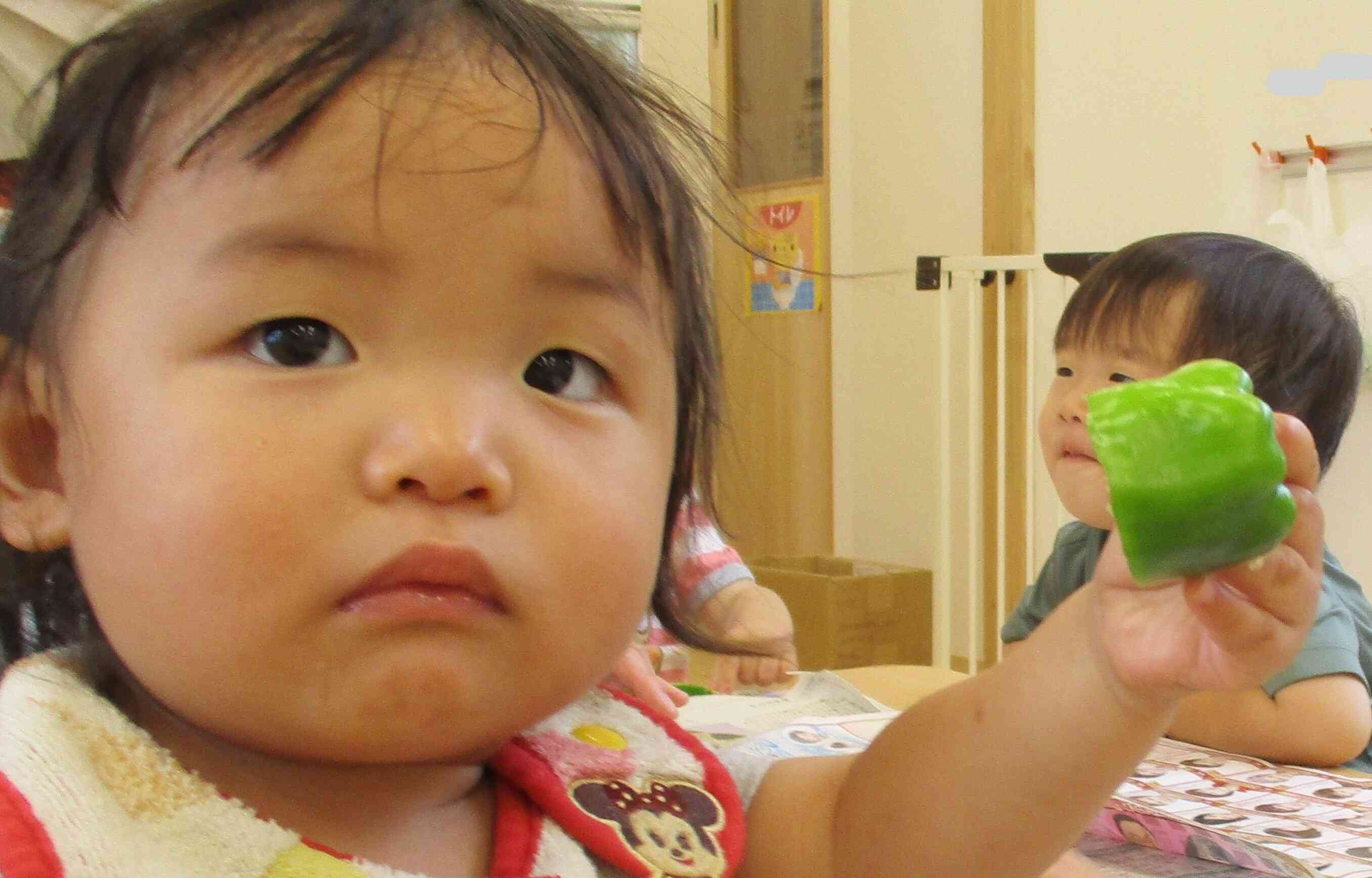 どうやってたねとるのー