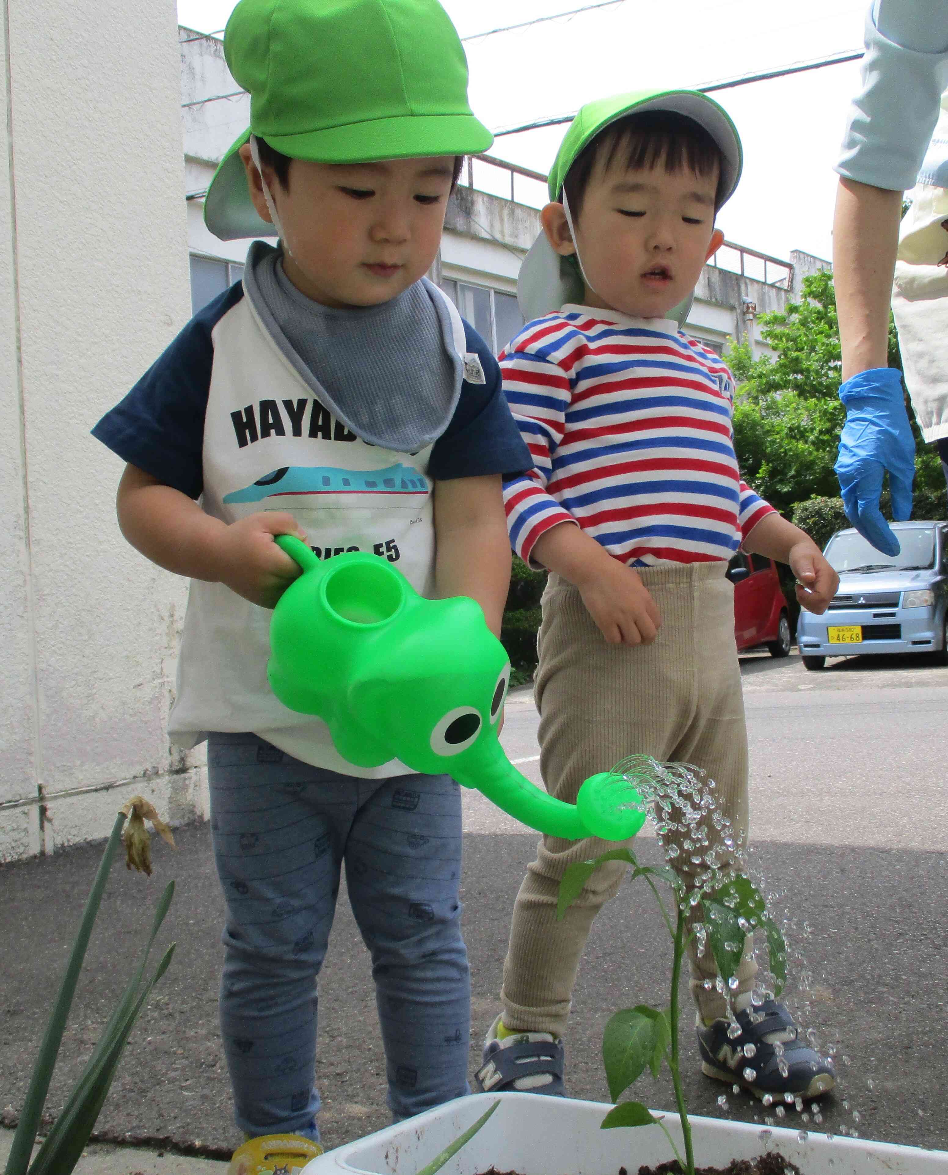 元気に育ってね