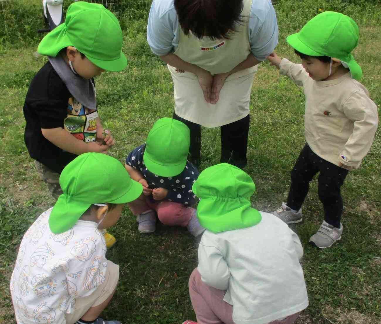 散歩（2歳児）