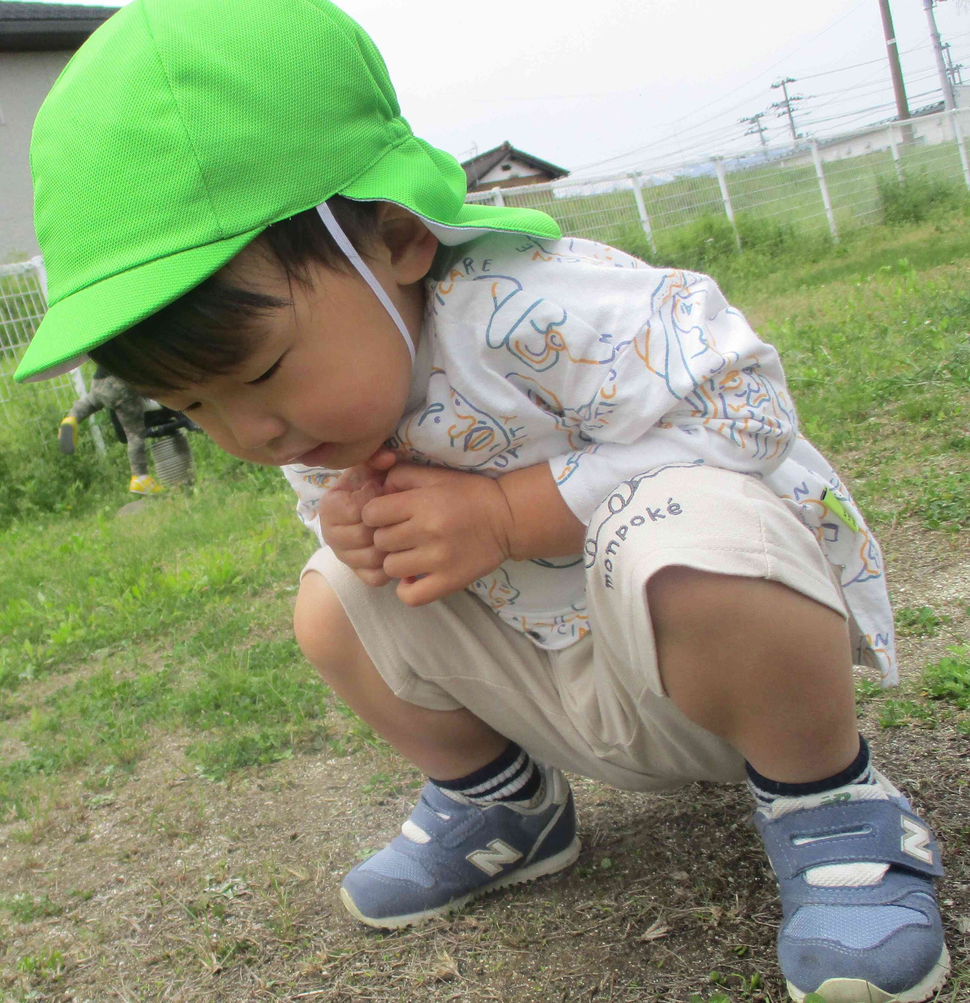 おっ、なにかを発見