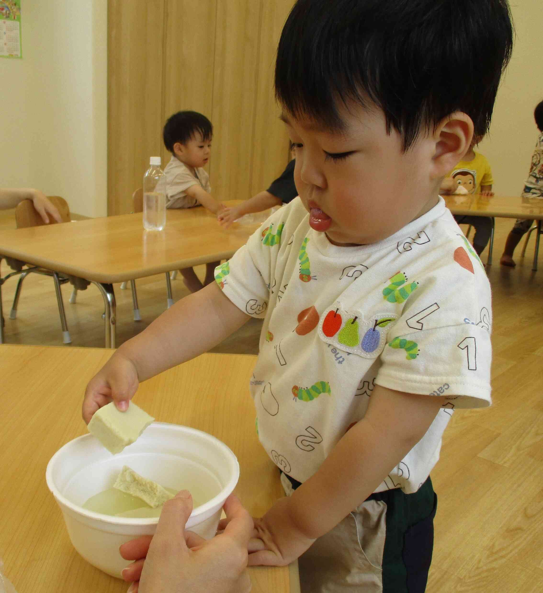 これが高野豆腐なの？