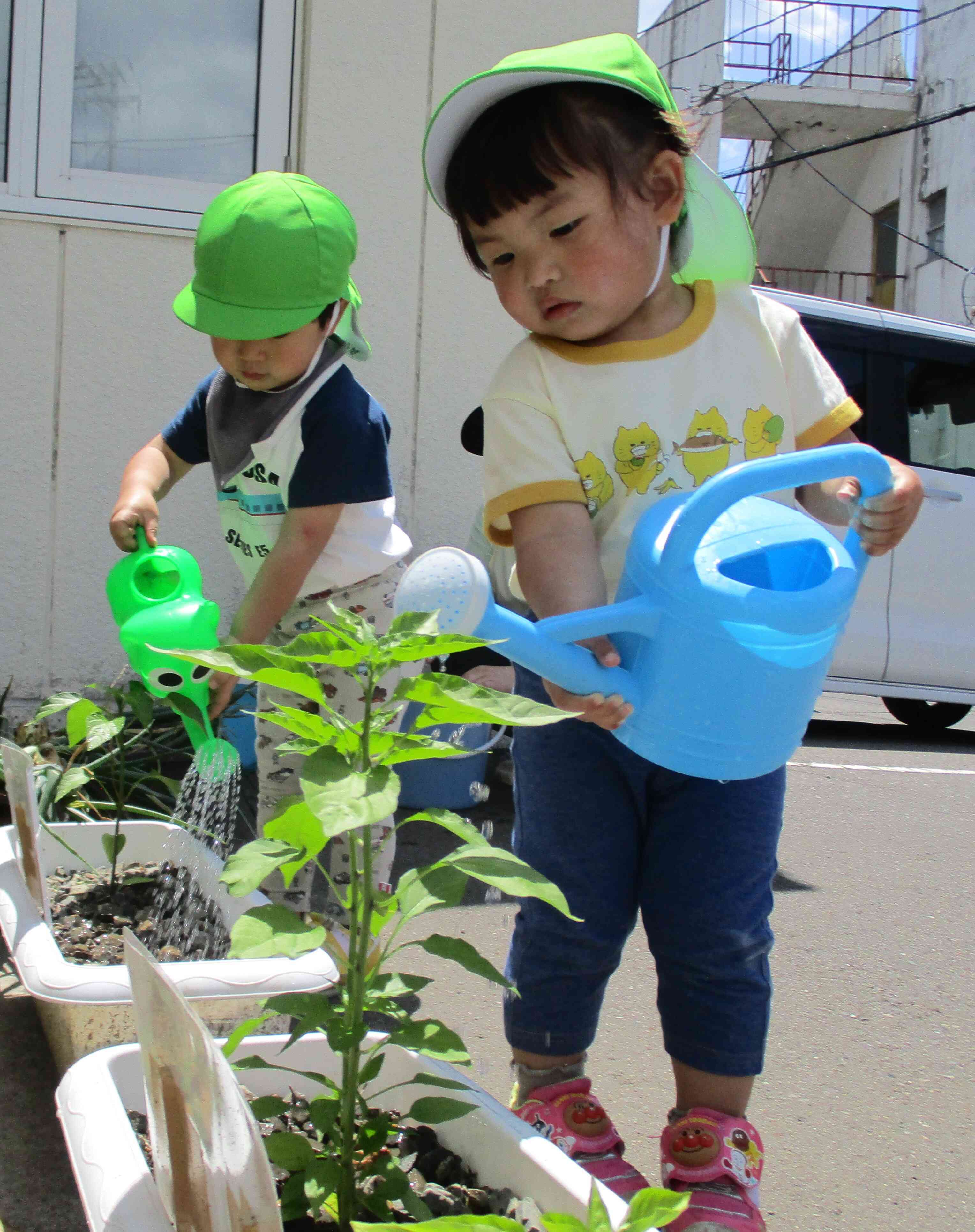 大きくなぁれ