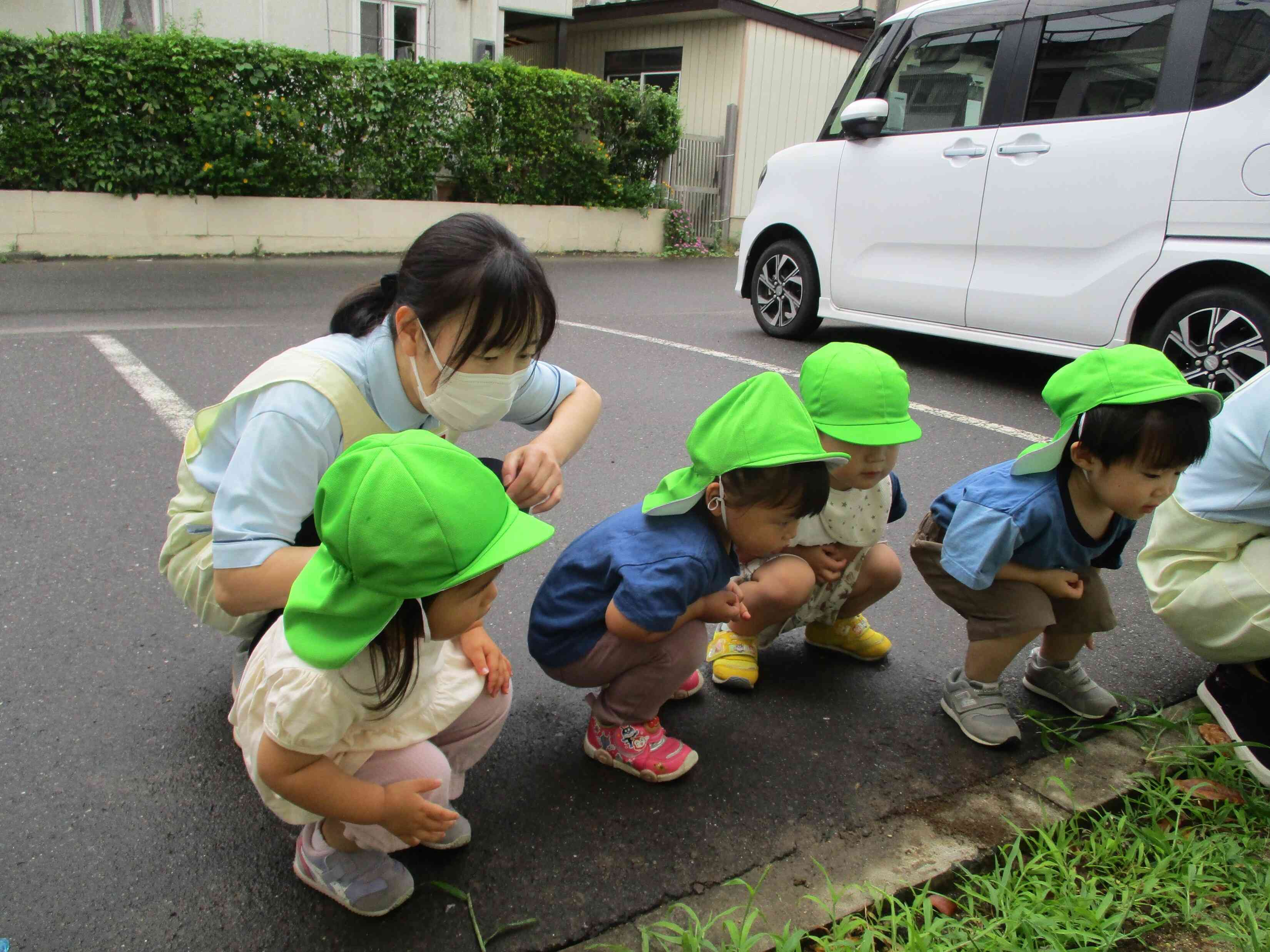 さつまいもの苗植え（2歳児）