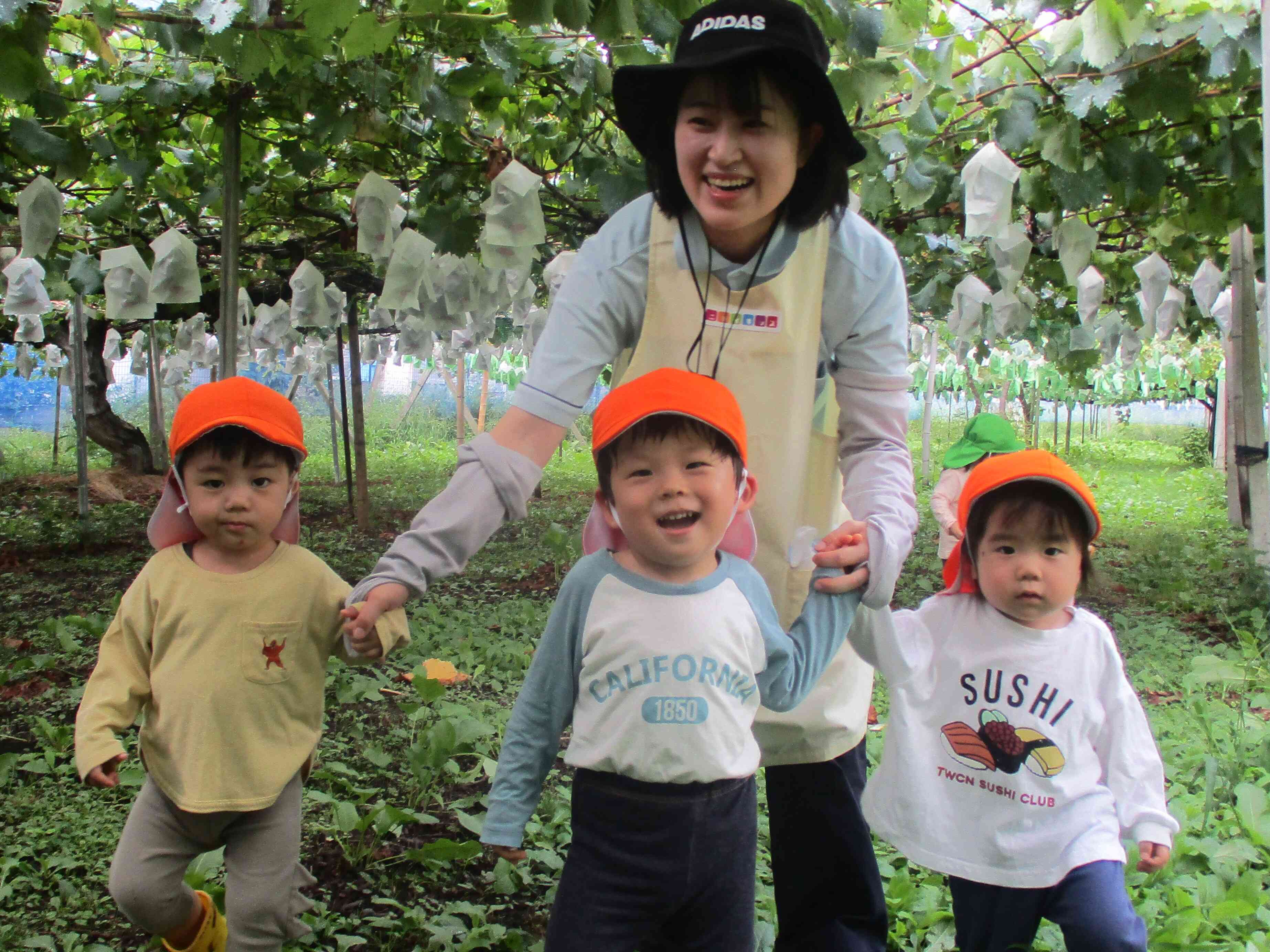 ぶどう畑見学（１・２歳児）
