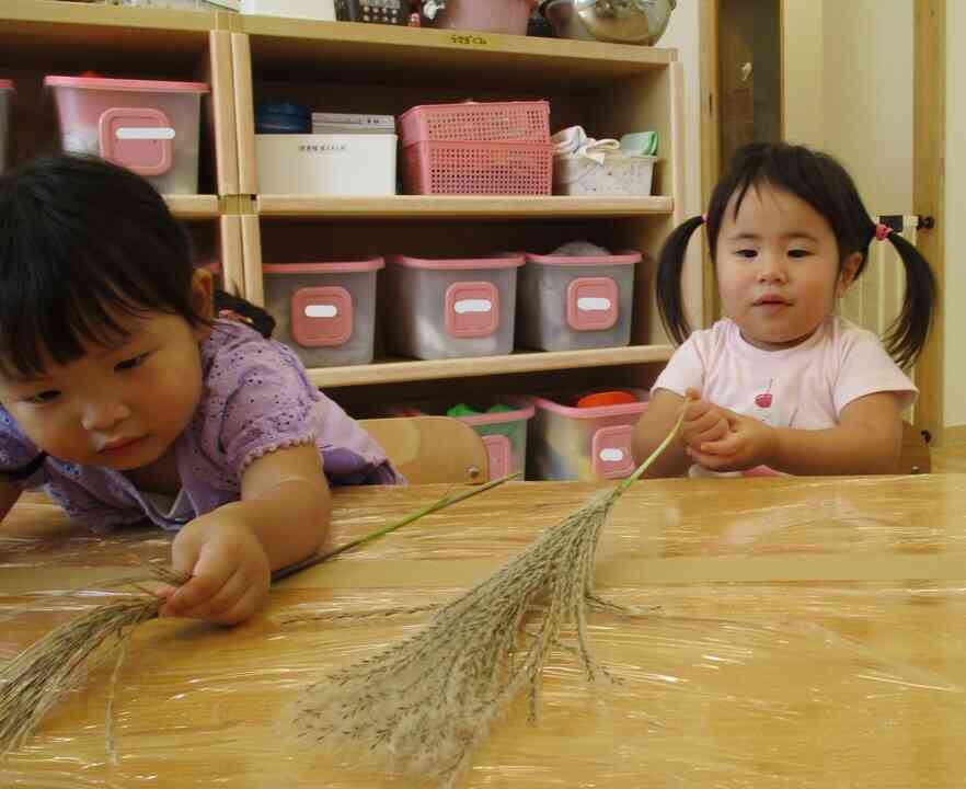 すすきってふわふわ