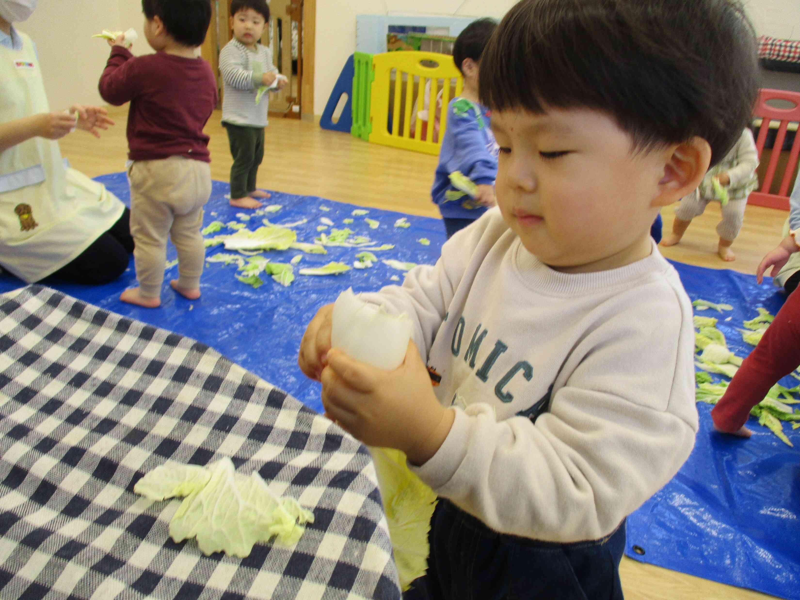 これがはくさいなんだ