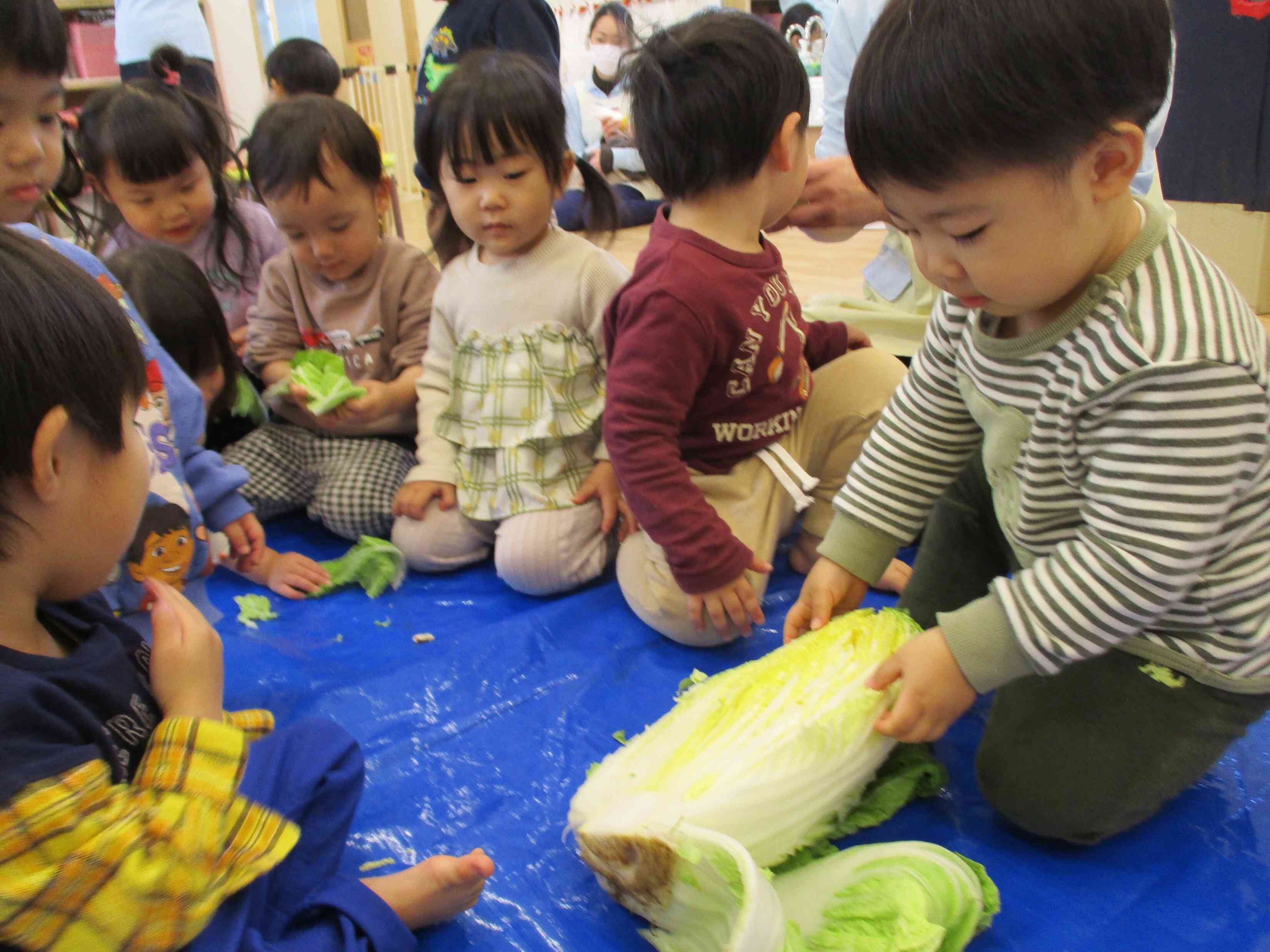 葉っぱがいっぱいだね