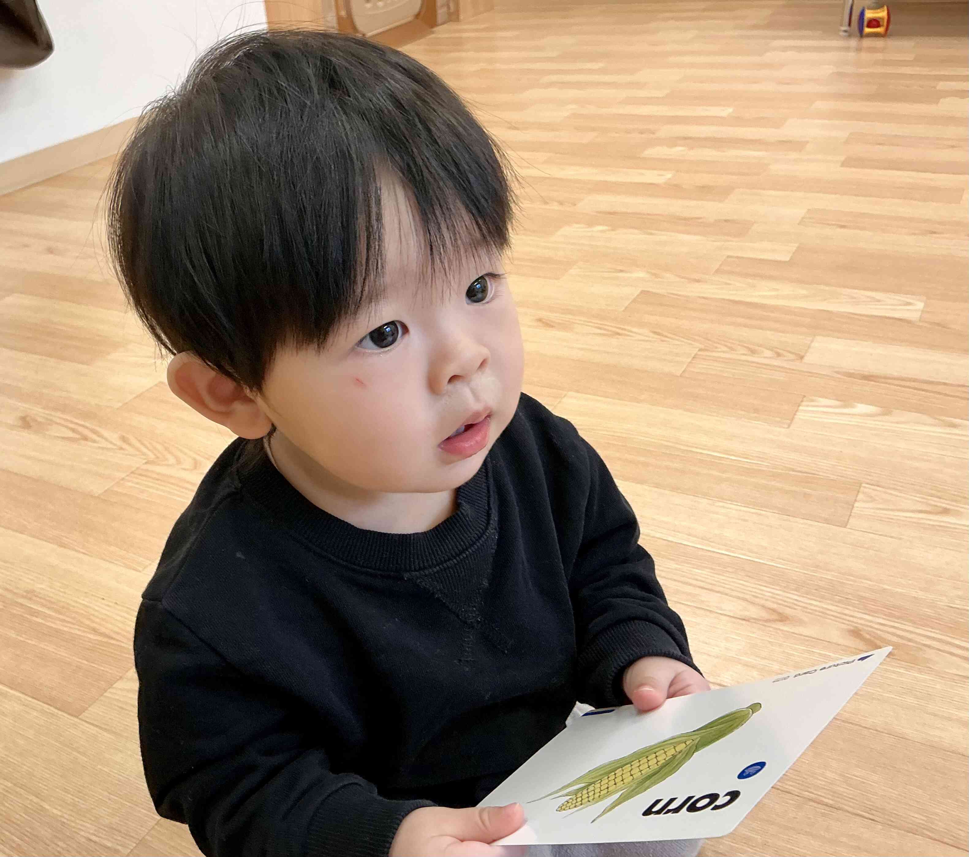 これはなあに？