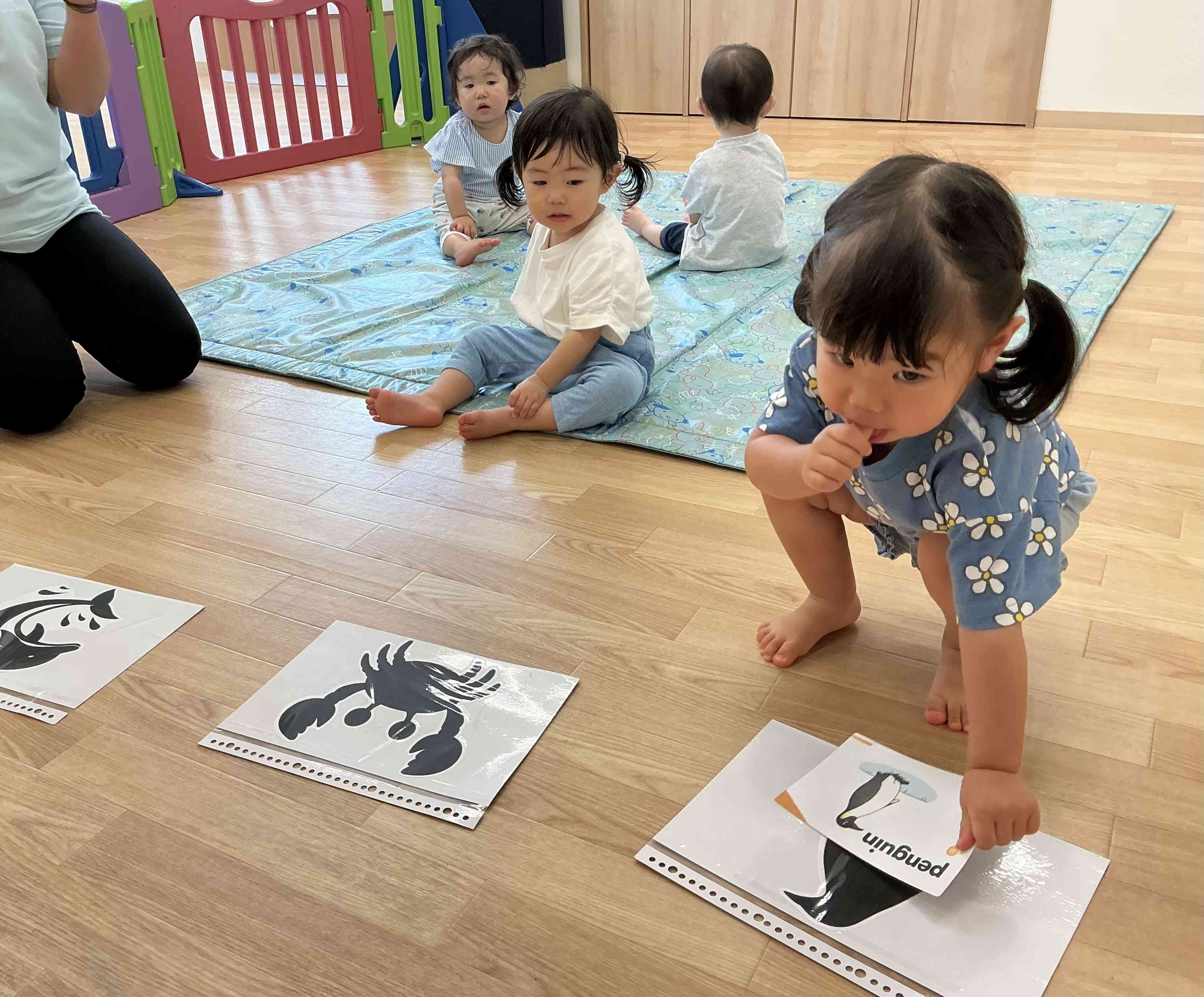 ペンギンさんみーつけた！
