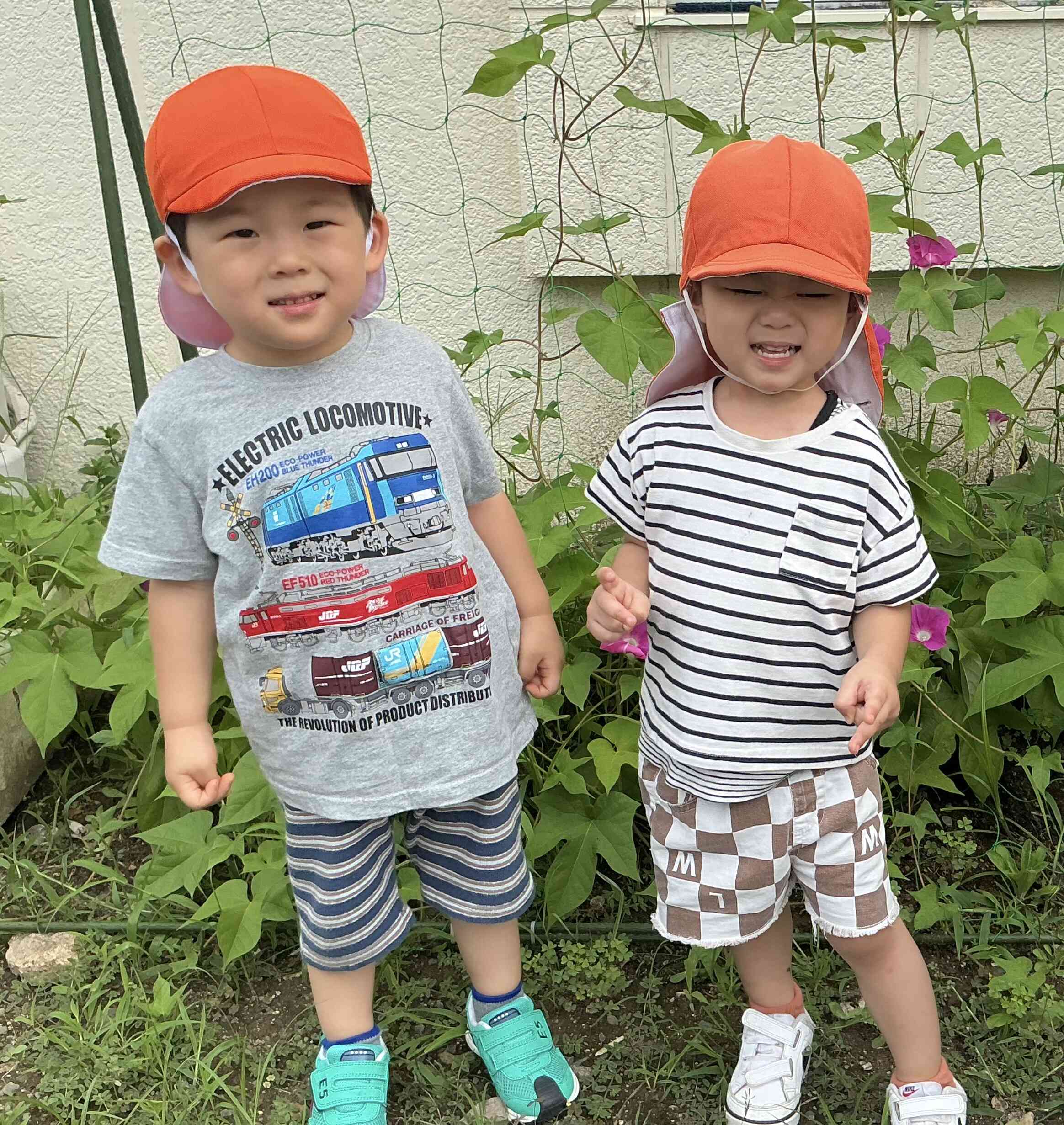 朝顔の色水遊び(2歳児)