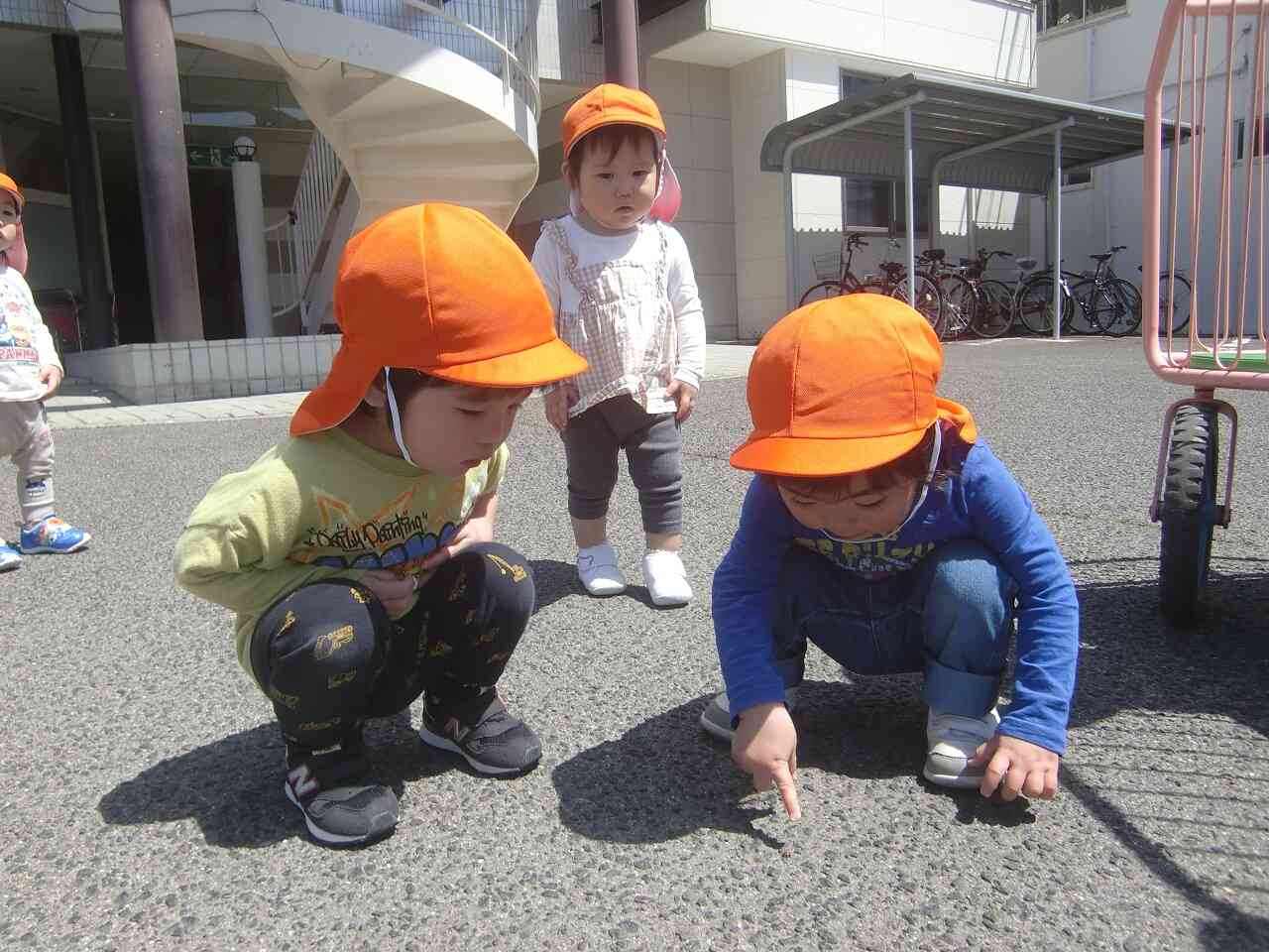 戸外あそび～あひる（１歳児）～
