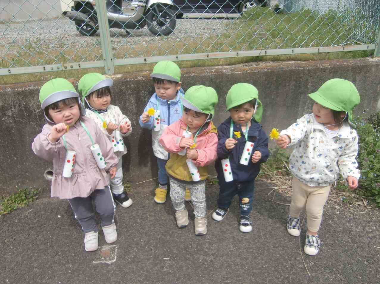 たんぽぽゲット!