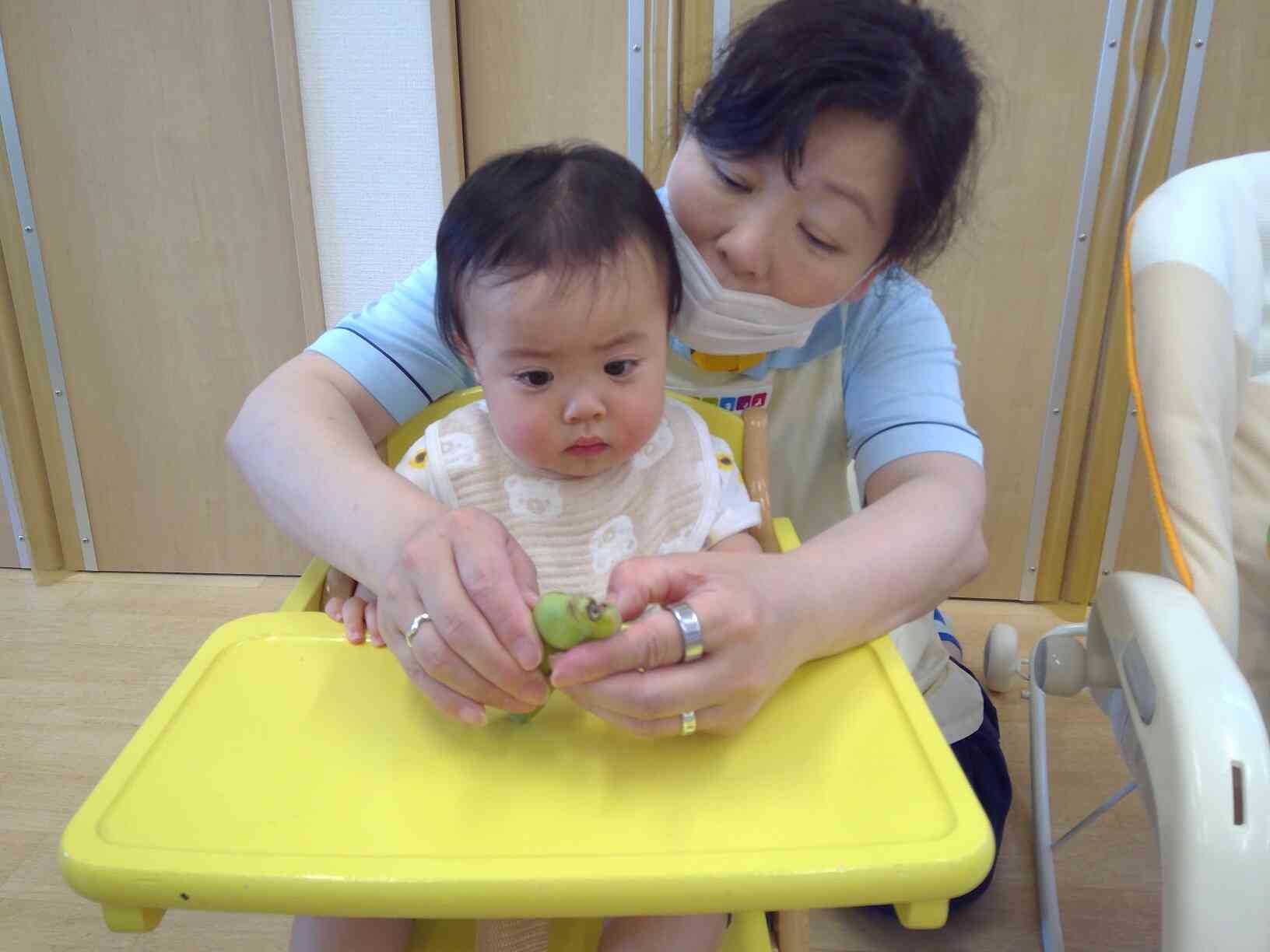 ひよこ組さん（0歳児）も先生と一緒にそら豆をとりだしたよ！