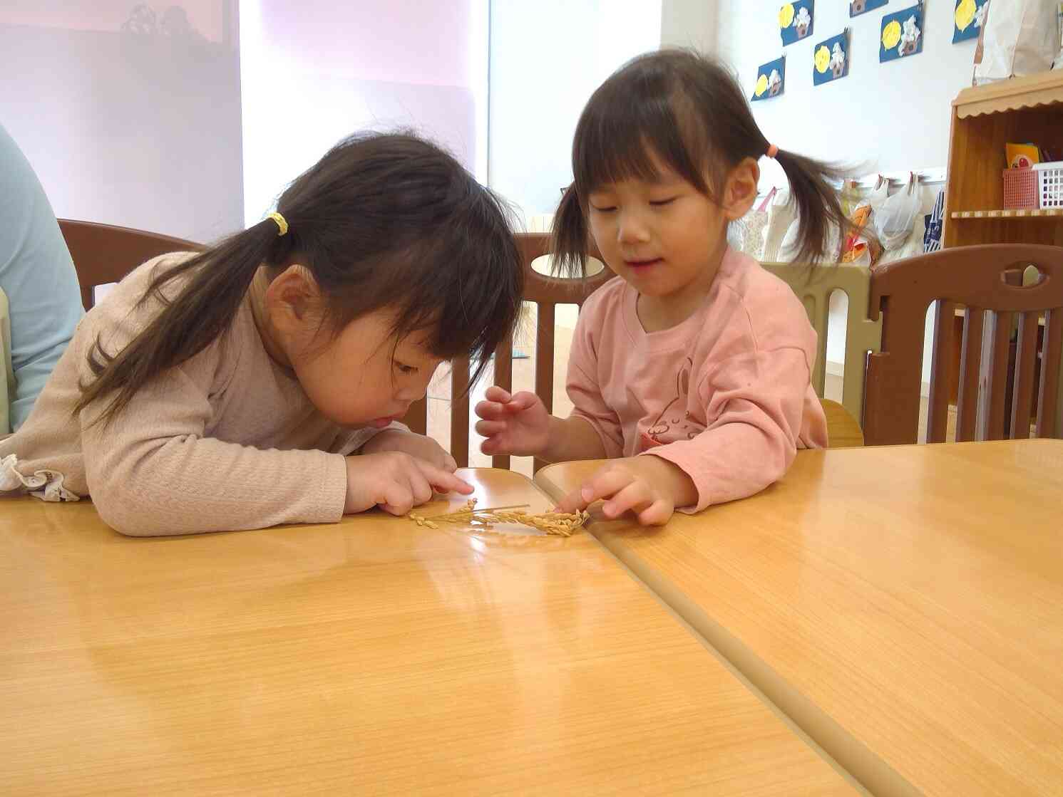 食育を行いました～おにぎり作り～