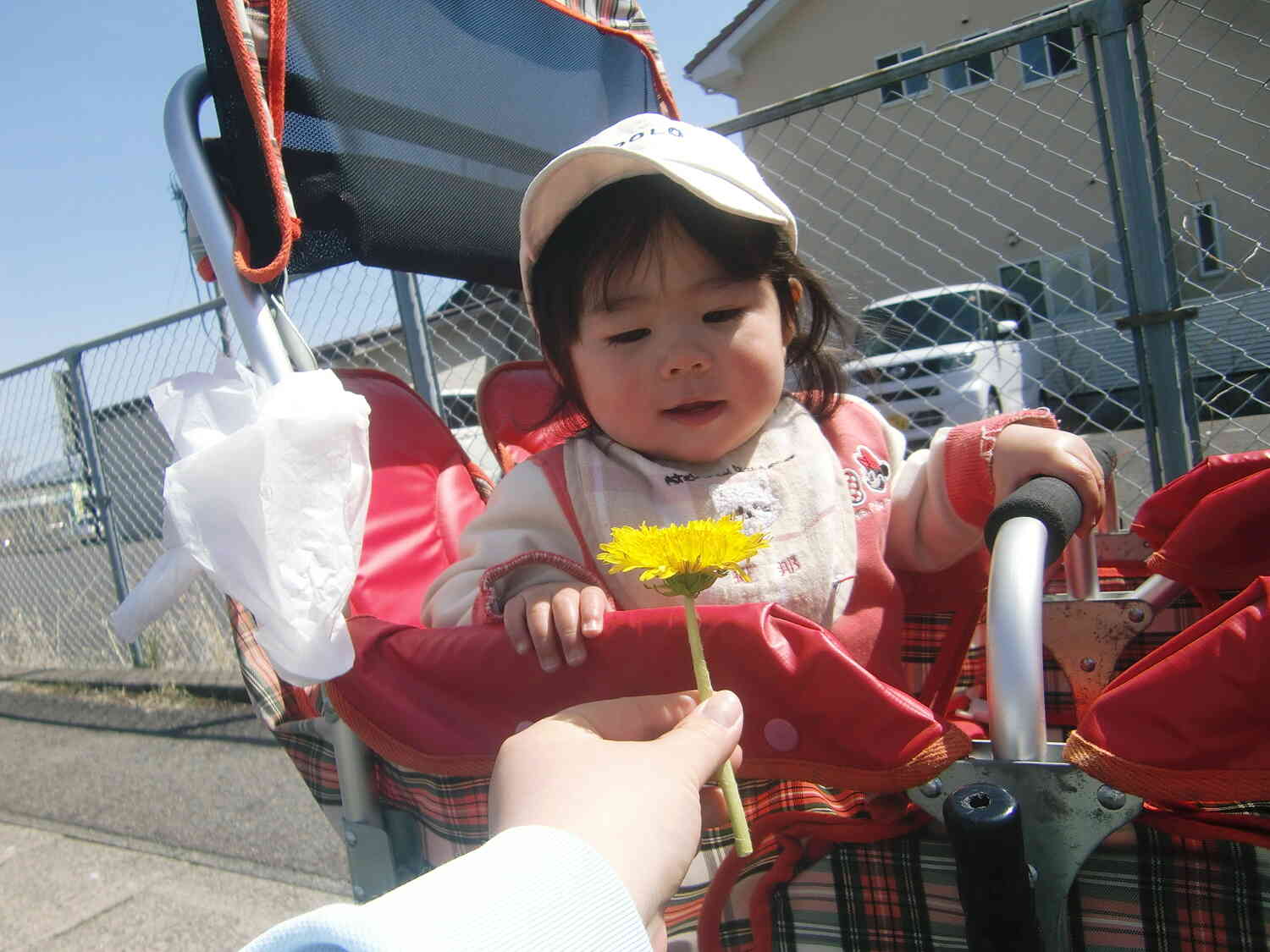 うわ～可愛い♡