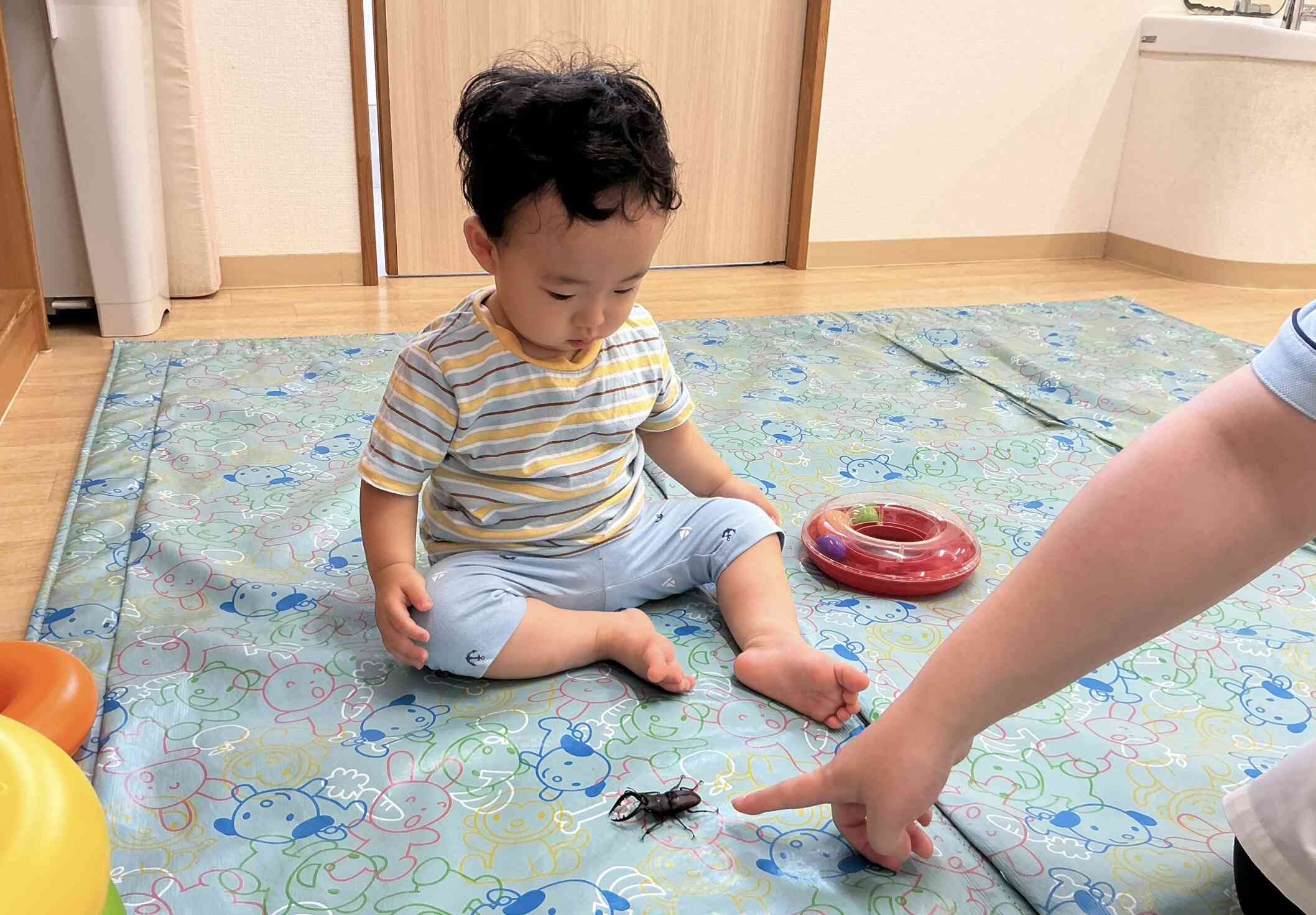 ひよこ組（0歳児）さんにも！
