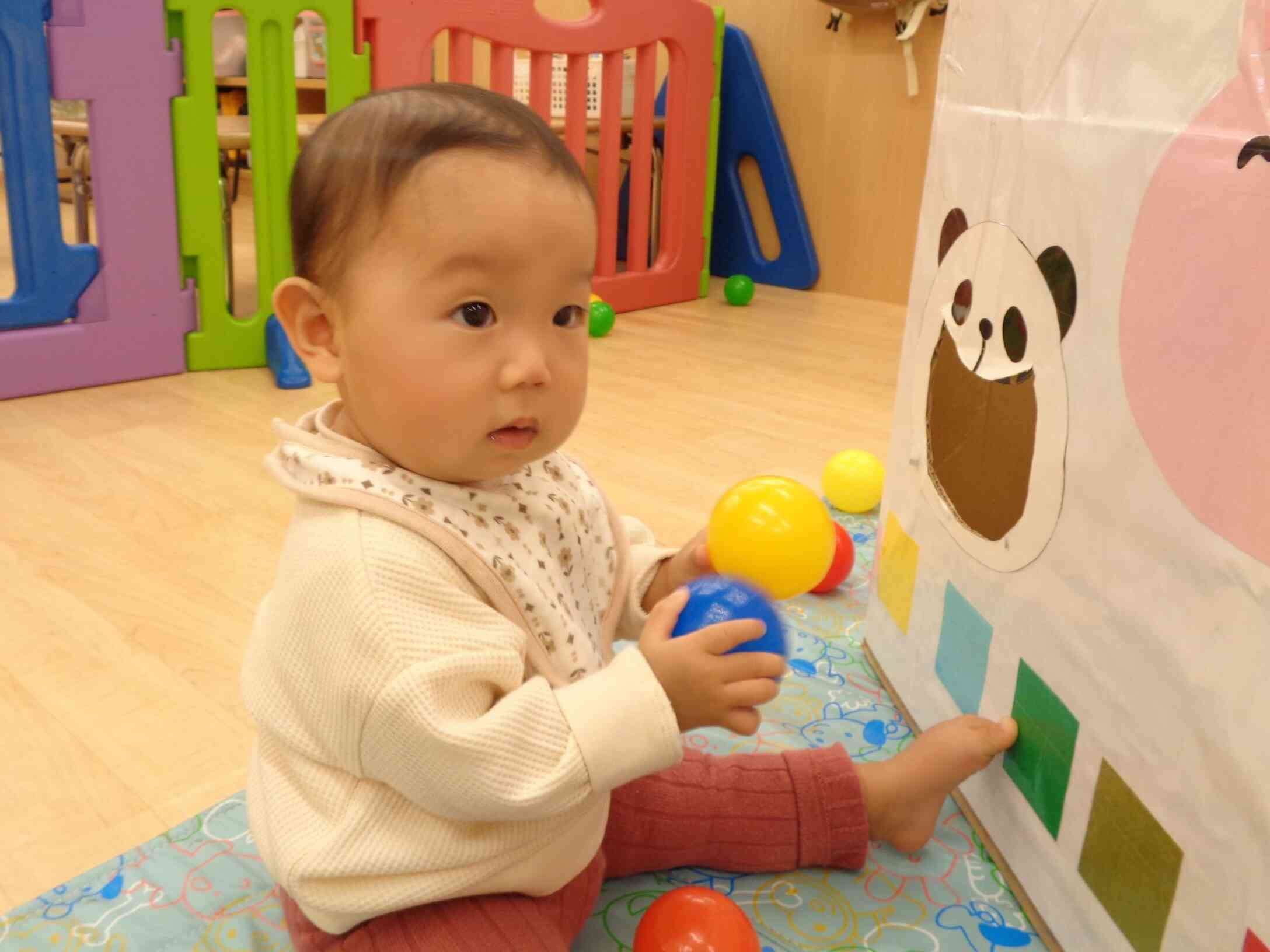 ひよこ組 ひよこ組