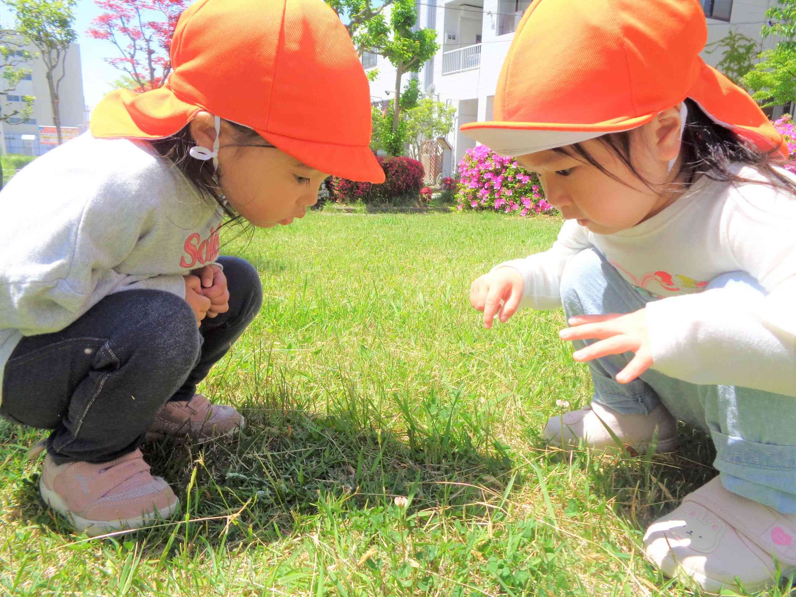 園見学開催中です！入園相談などお気軽にお問い合わせください。