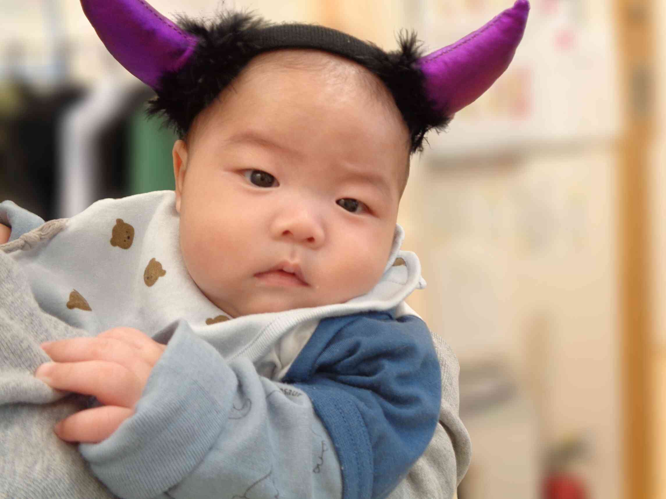 園見学後、ハロウィンの仮装をして写真を撮らせていただきました。