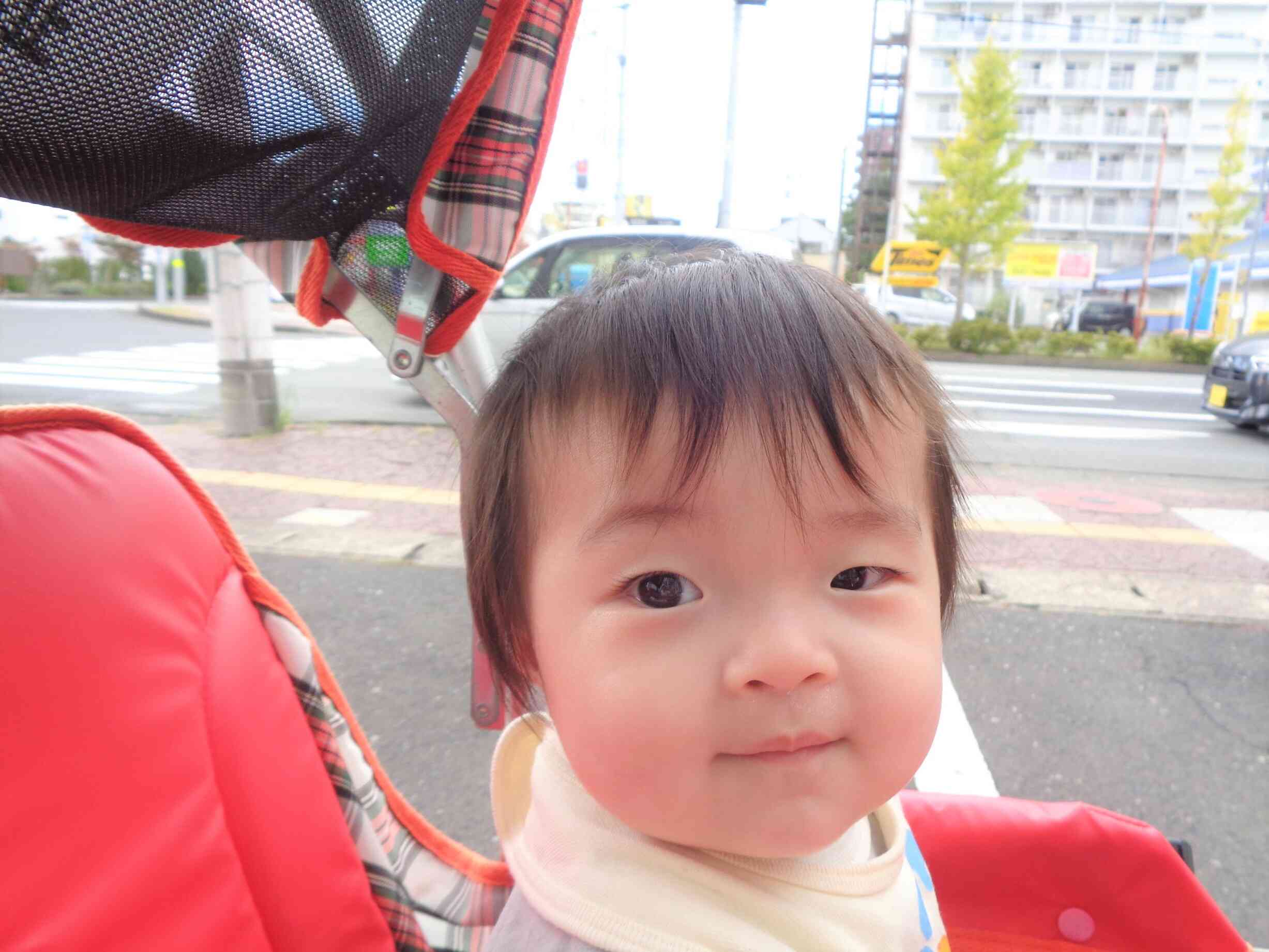 新しいお友だちが入園しました！