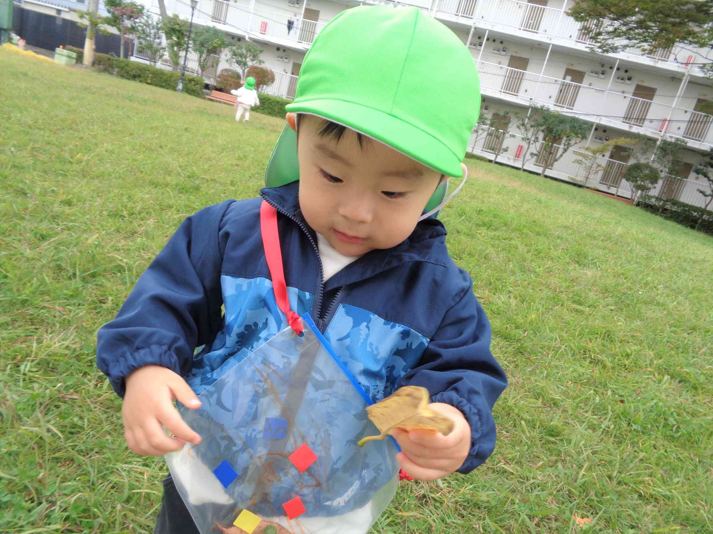 いっぱい葉っぱ見つけたよ!