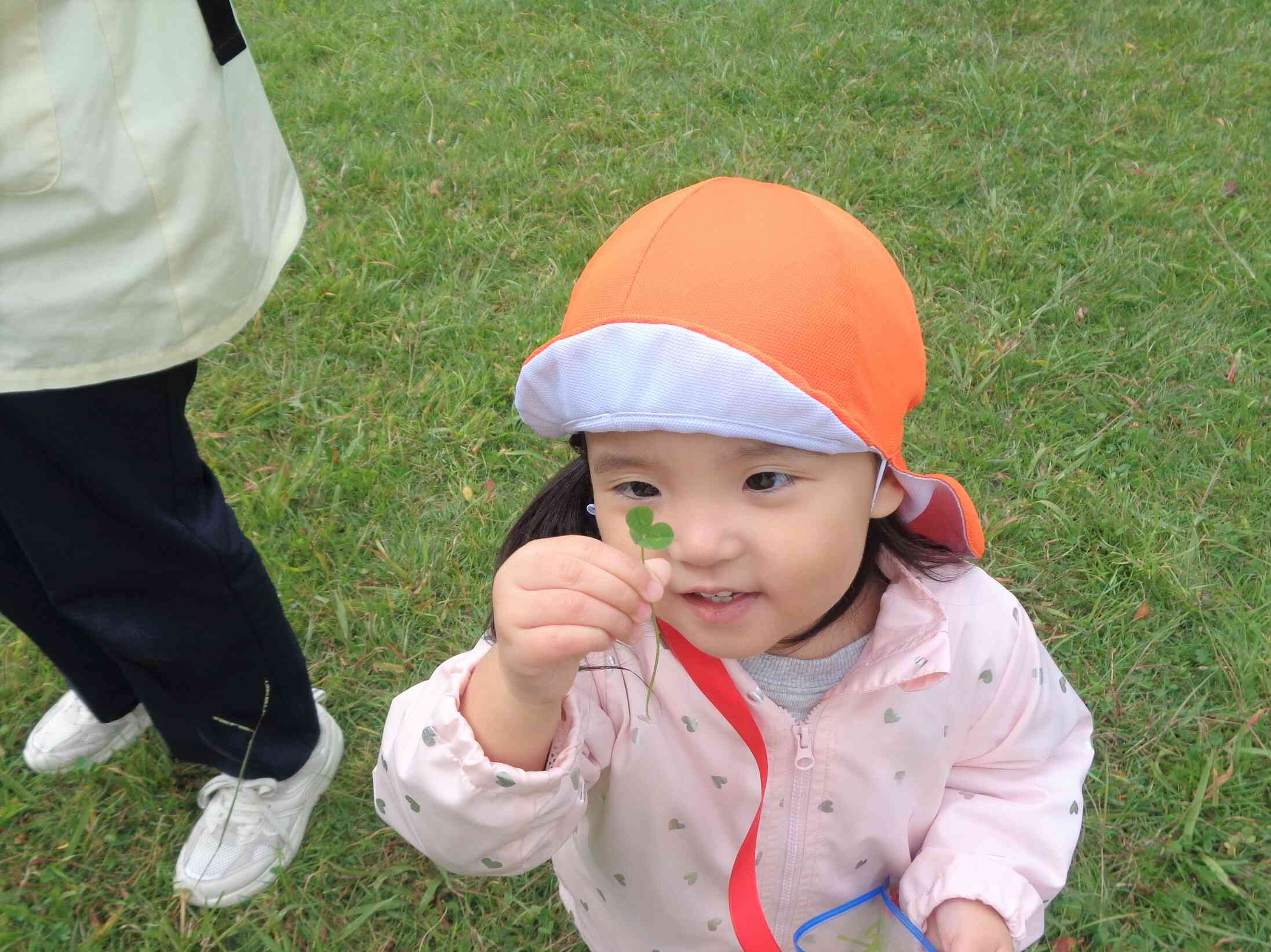 何があるかな？