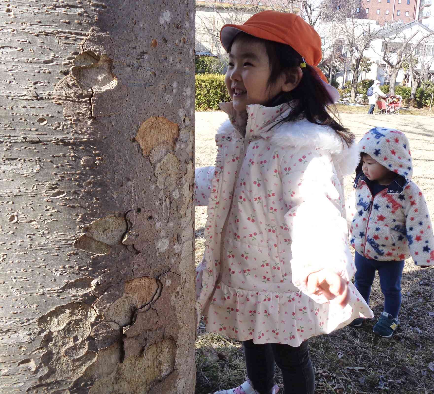 何があるかな？