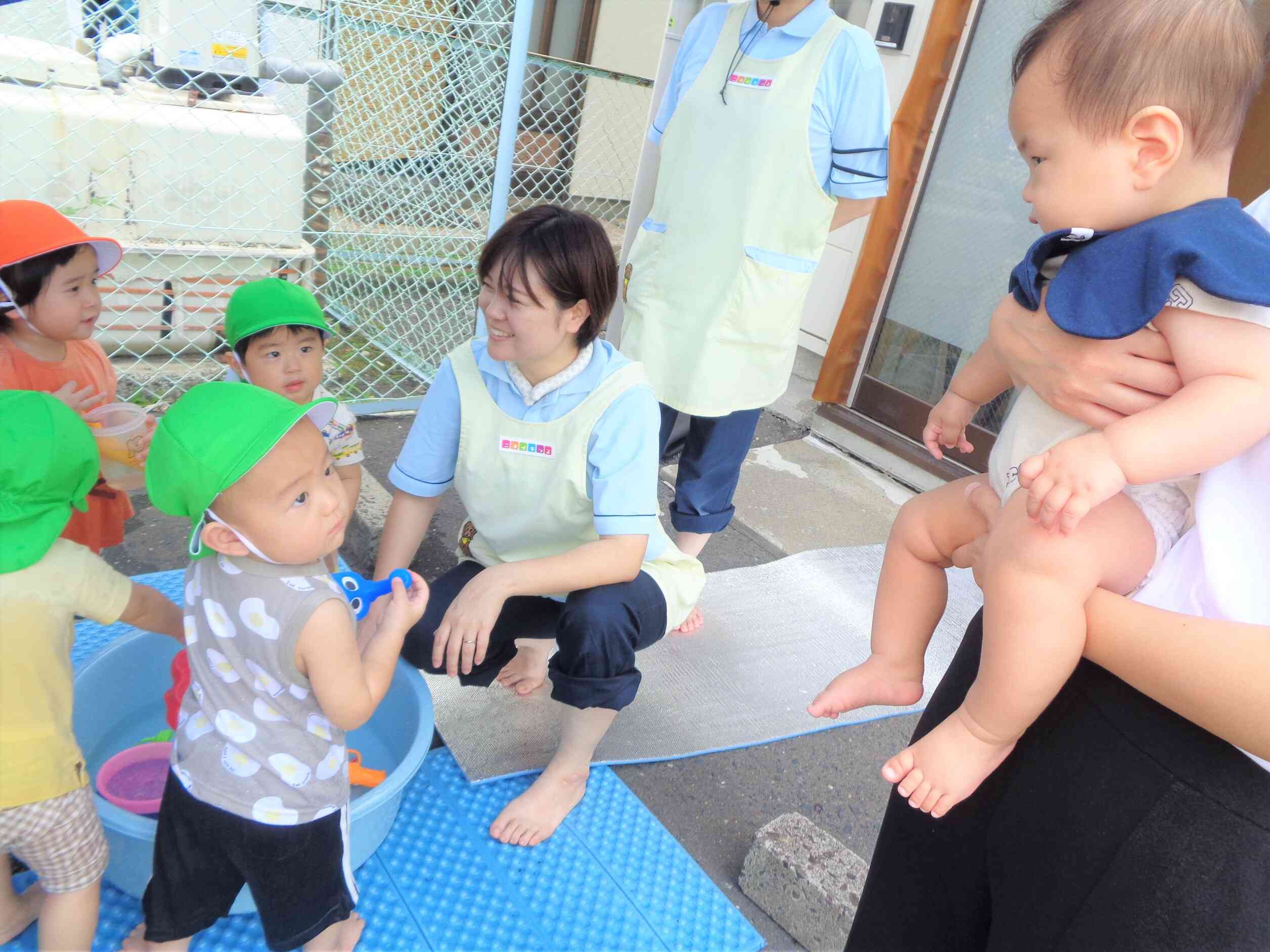 水遊びを見学しよう