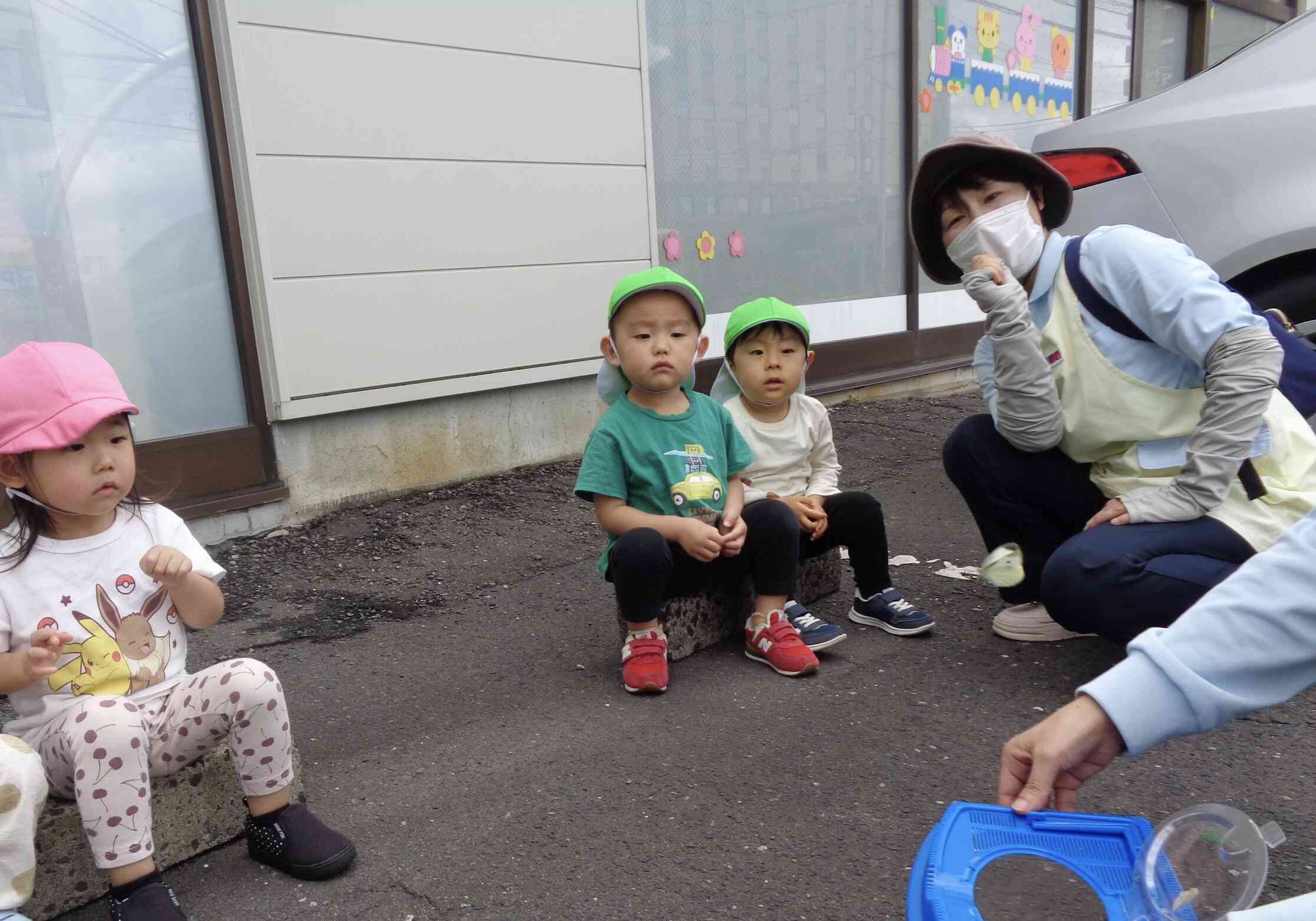 ちょうちょさんまたね！