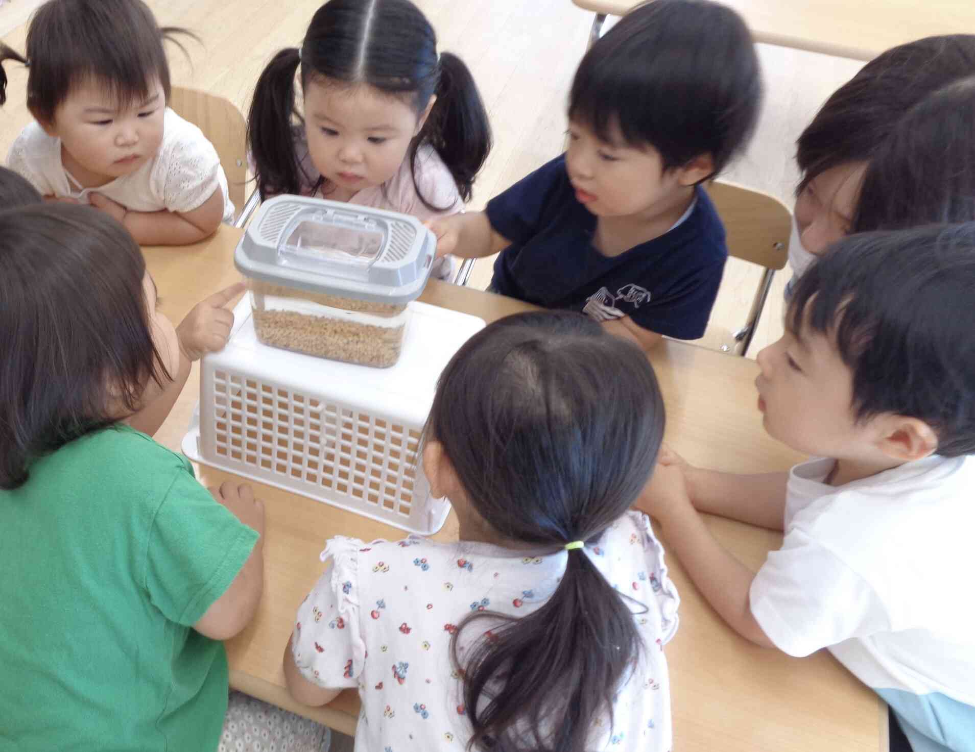 大きくなぁれ！