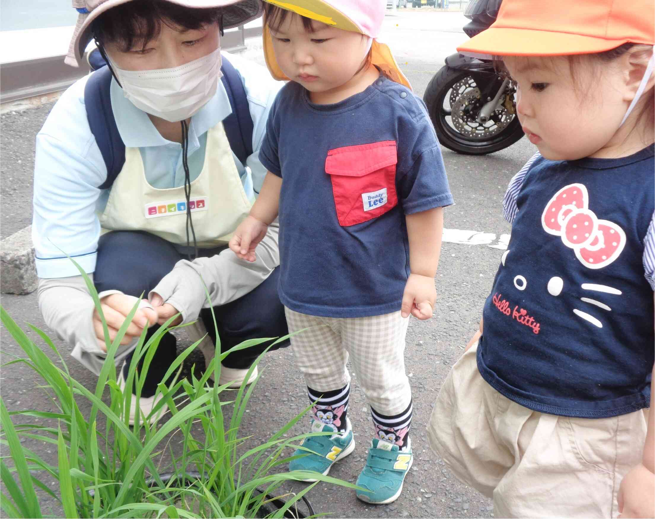 秋が待ち遠しいね☆