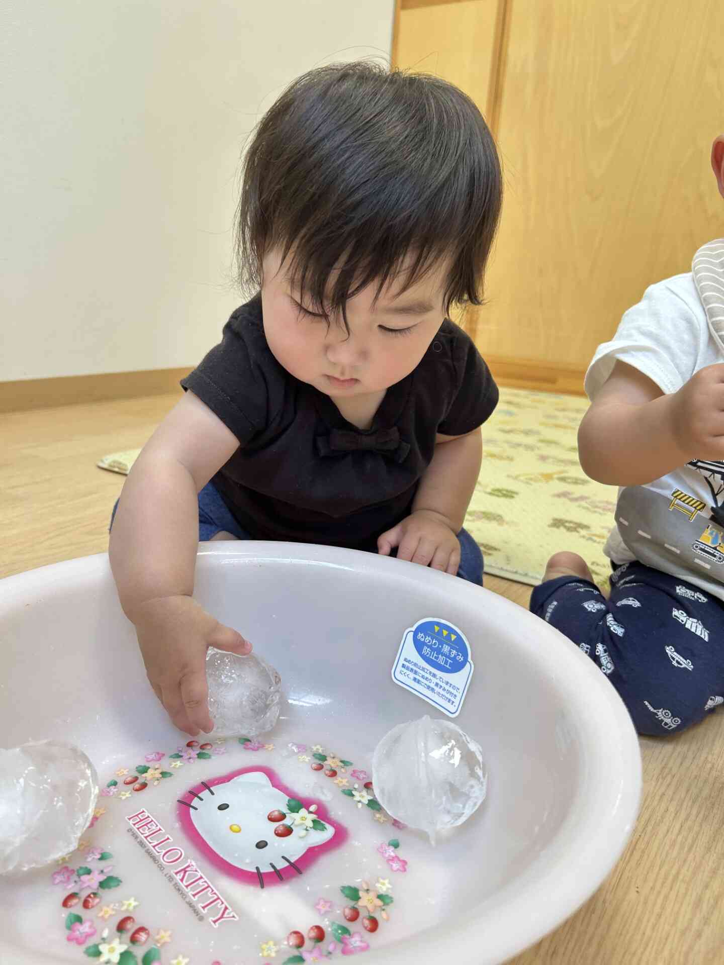 初めての氷に興味津々！