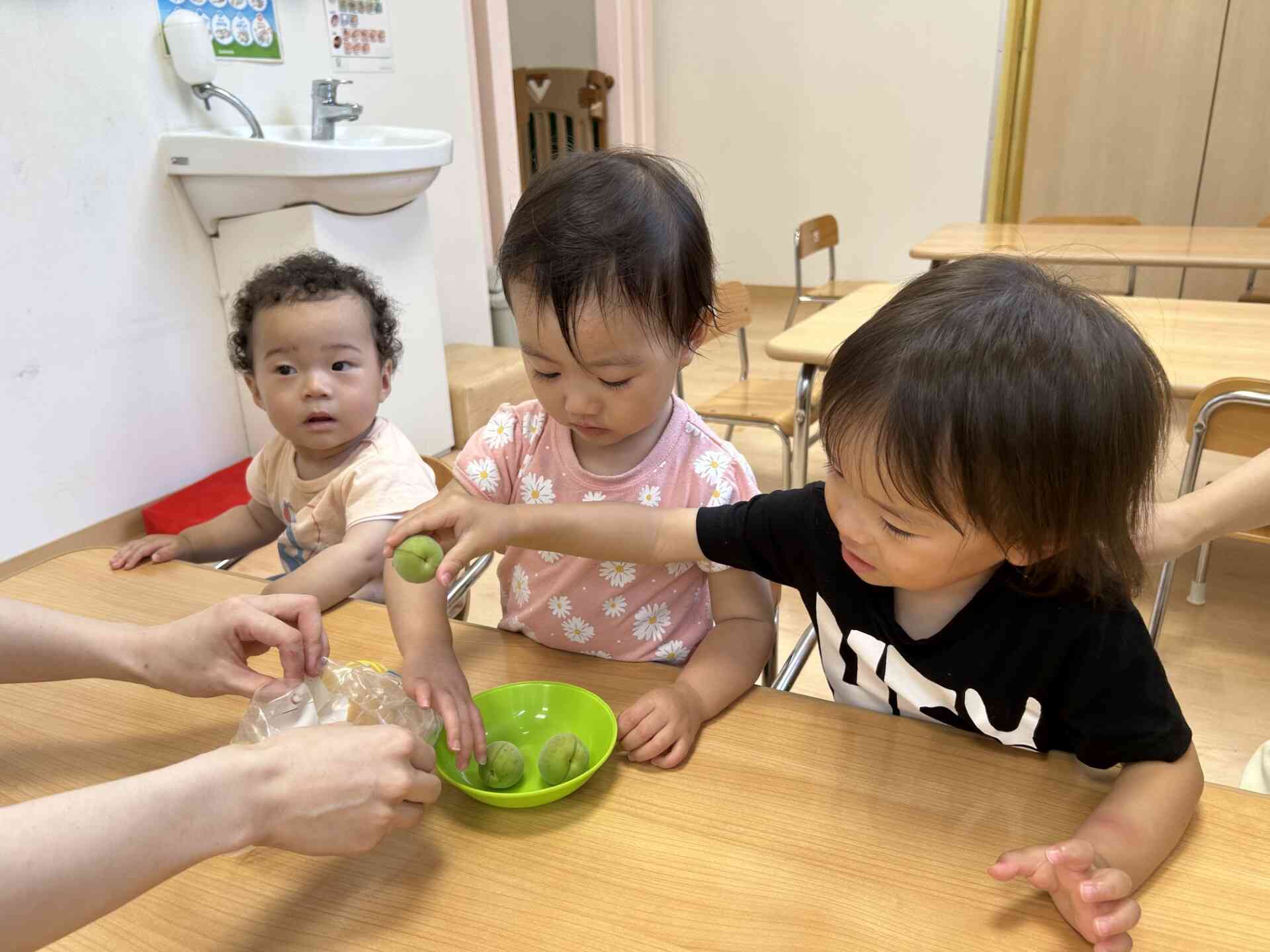 梅ってまあるくて硬いね！