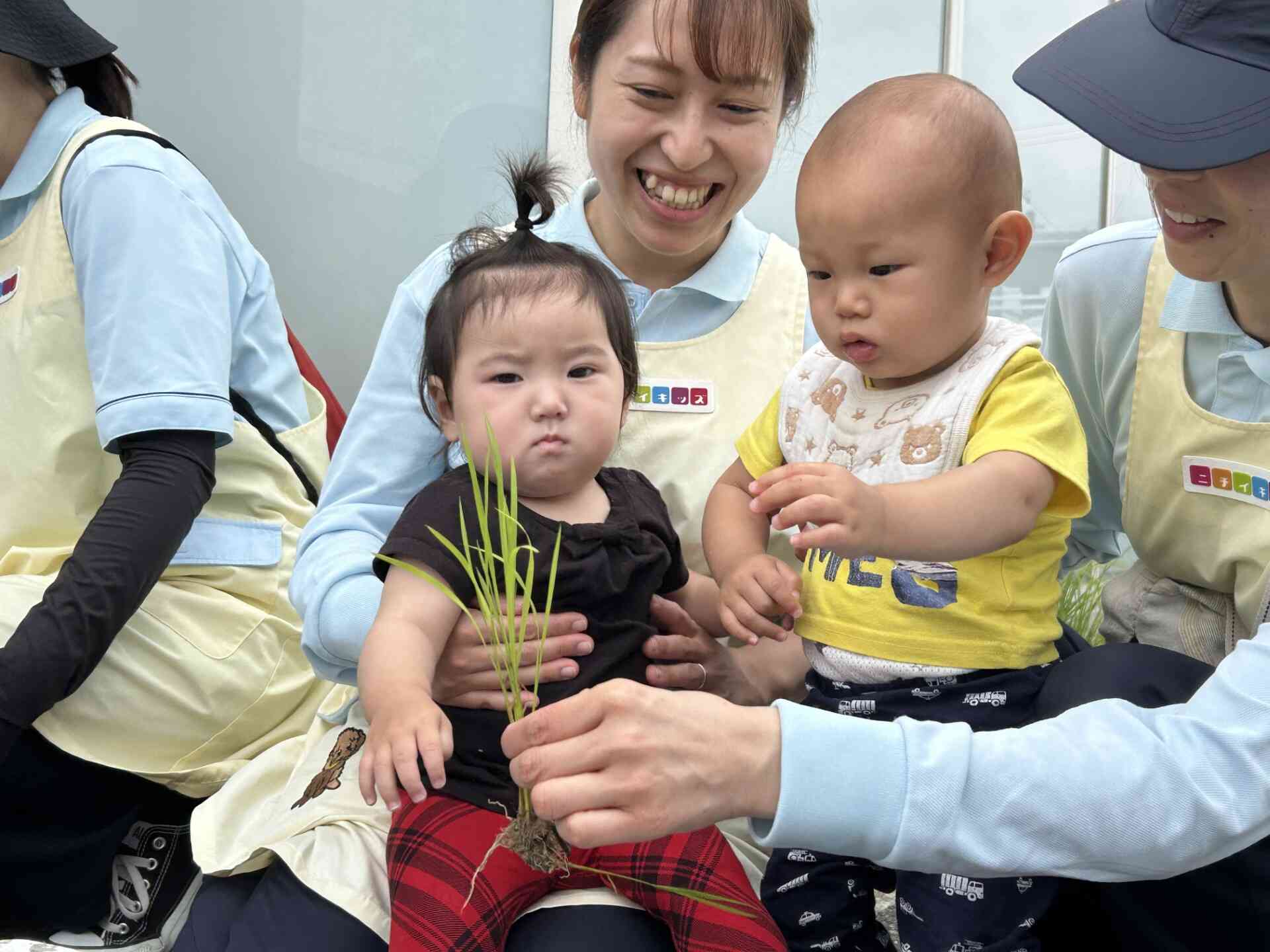 0歳児さんも初田植えに参加です！