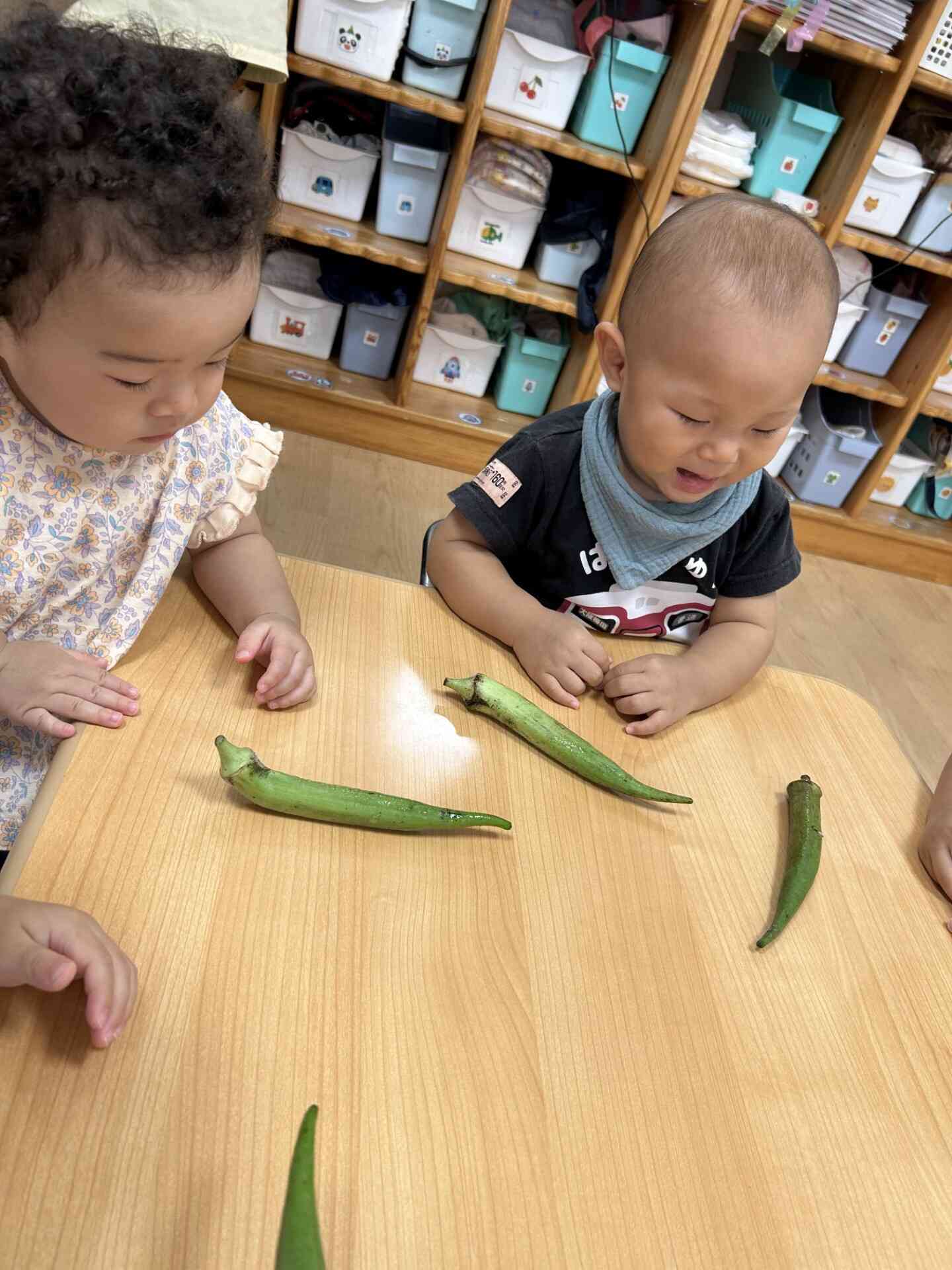 《わぁ～オクラだぁ～》