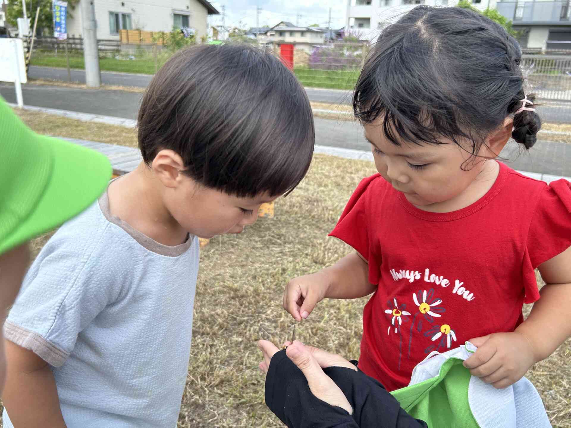 「あかねちゃーーーーん」