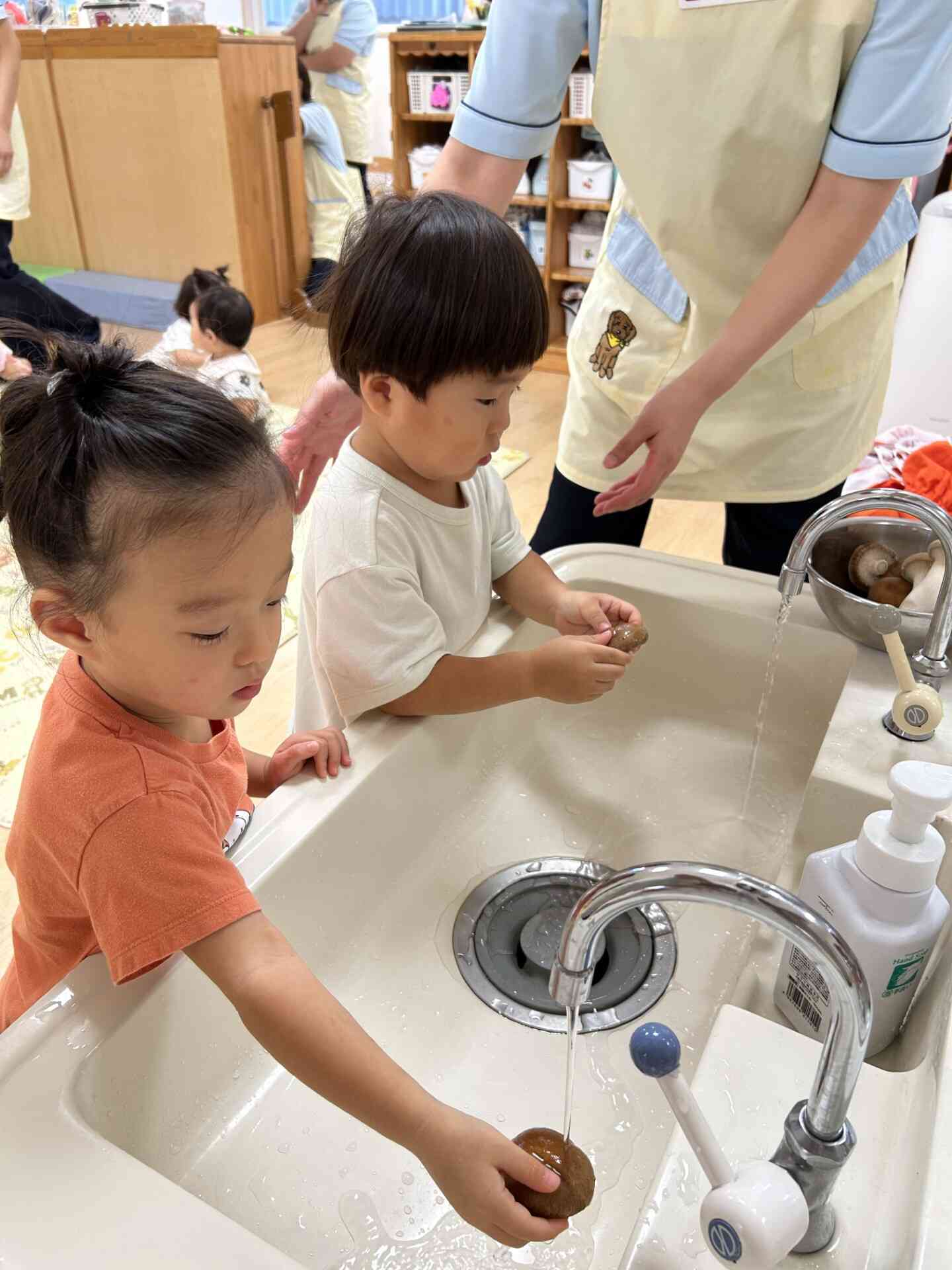 洗いながらきのこを観察中~♪