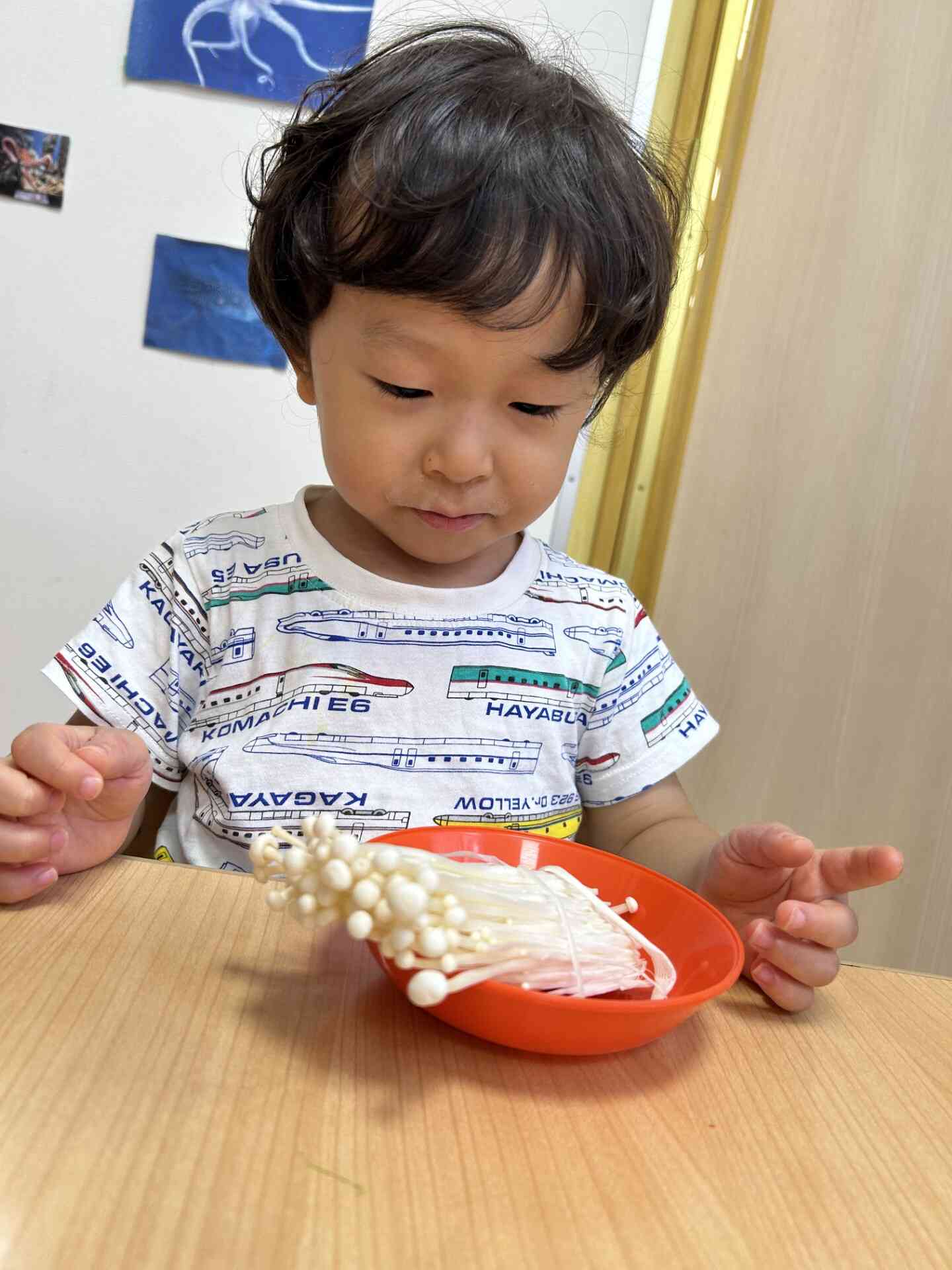 《これがえのきか…》