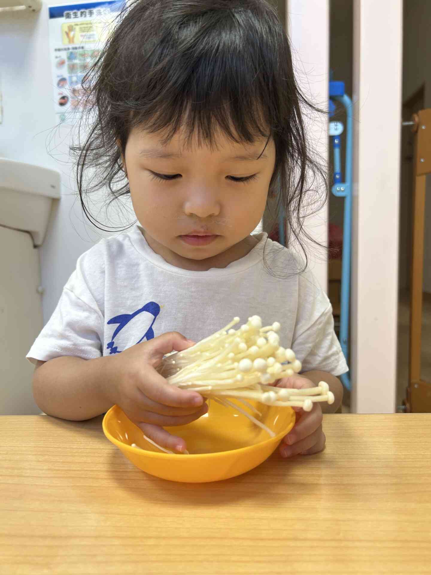 きのこを裂いてみよう!