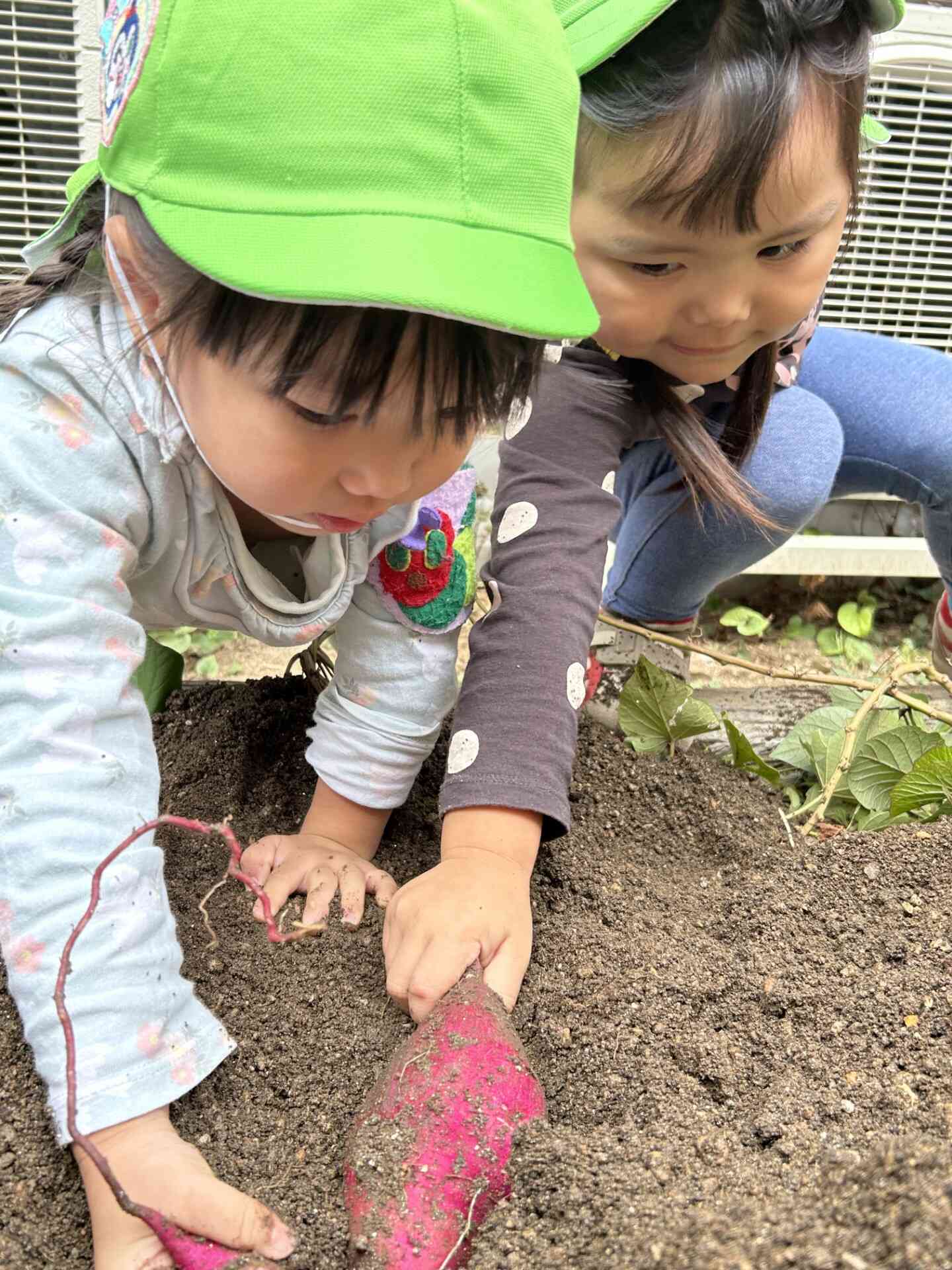 力を合わせて・・・うんとこしょ!どっこいしょ!
