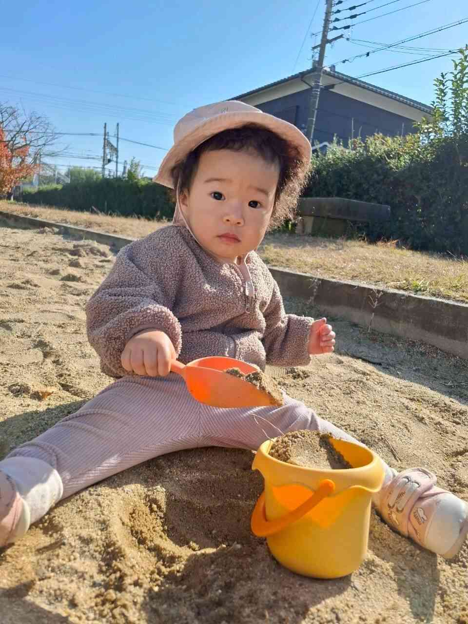 スコップですくって、バケツに入れて…