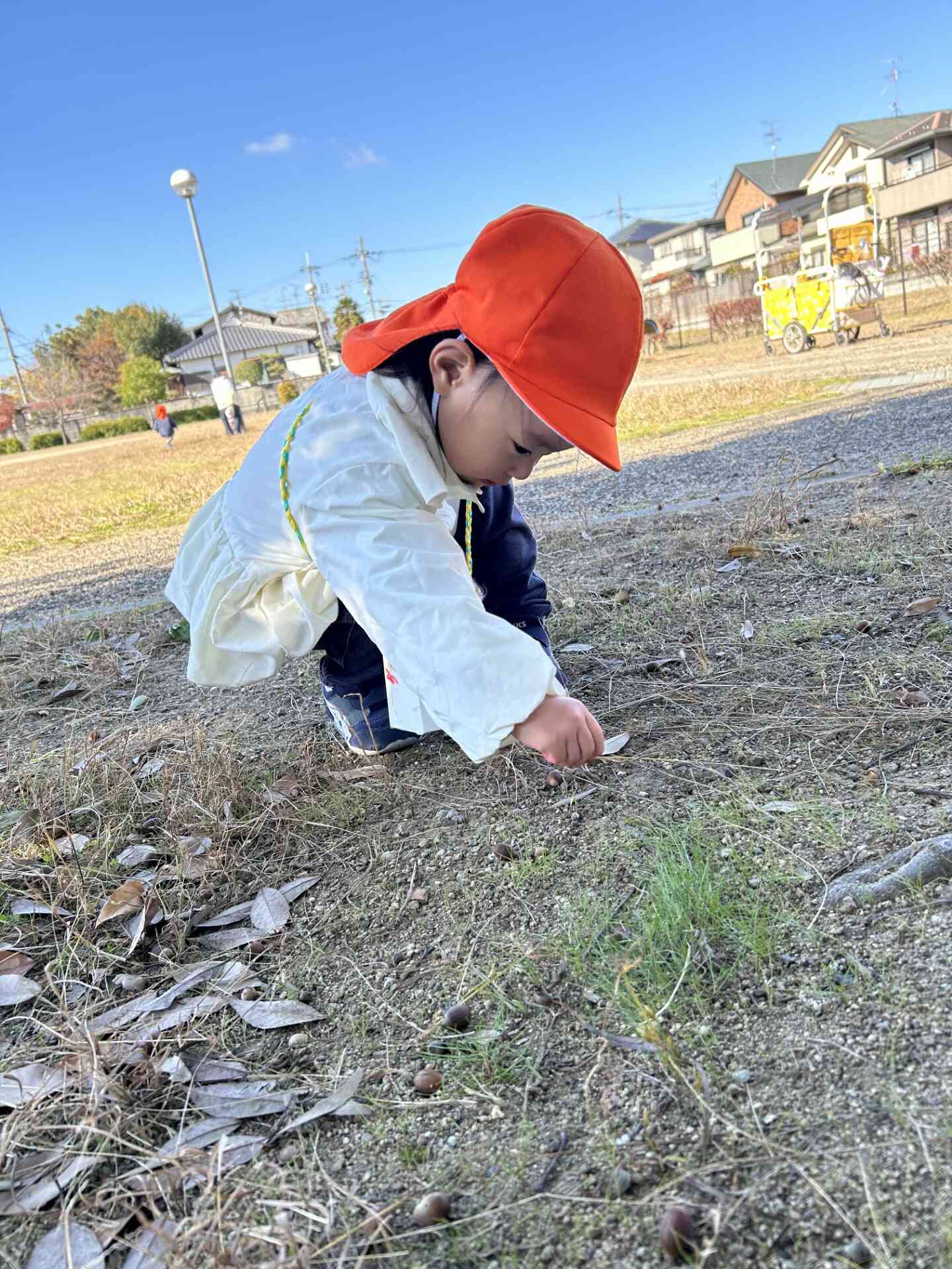 どんぐり拾いに夢中です♩