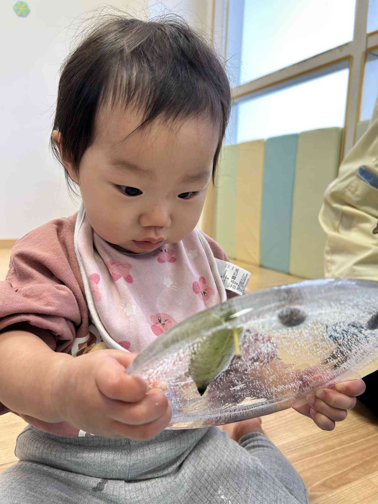 0歳児のお友だちも研究中です！