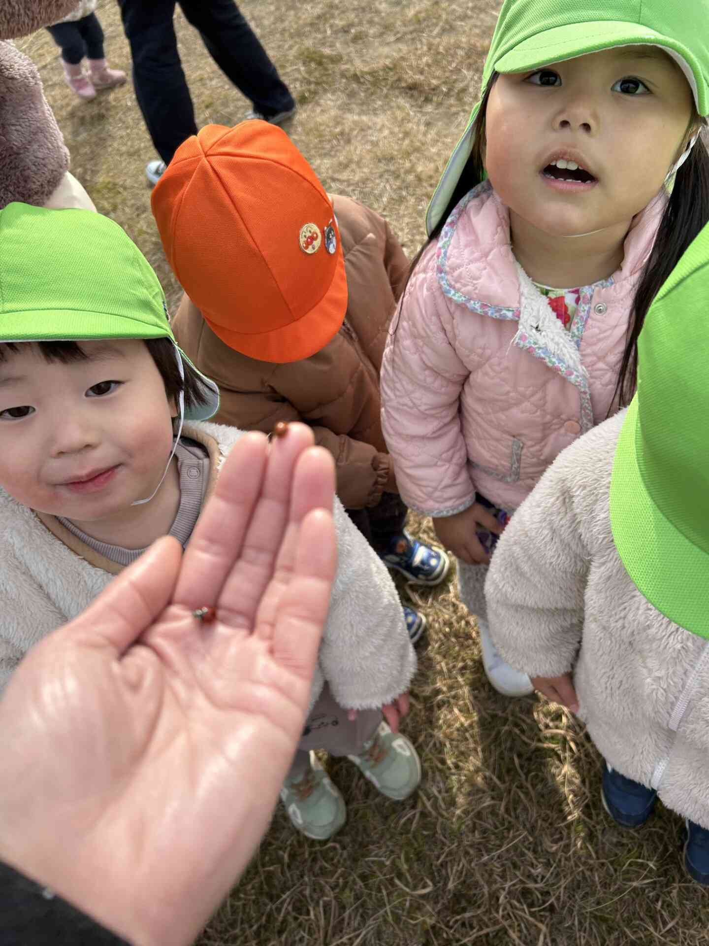 なんと、てんとう虫の兄弟を発見！季節は着実に進んでいますね・・・。