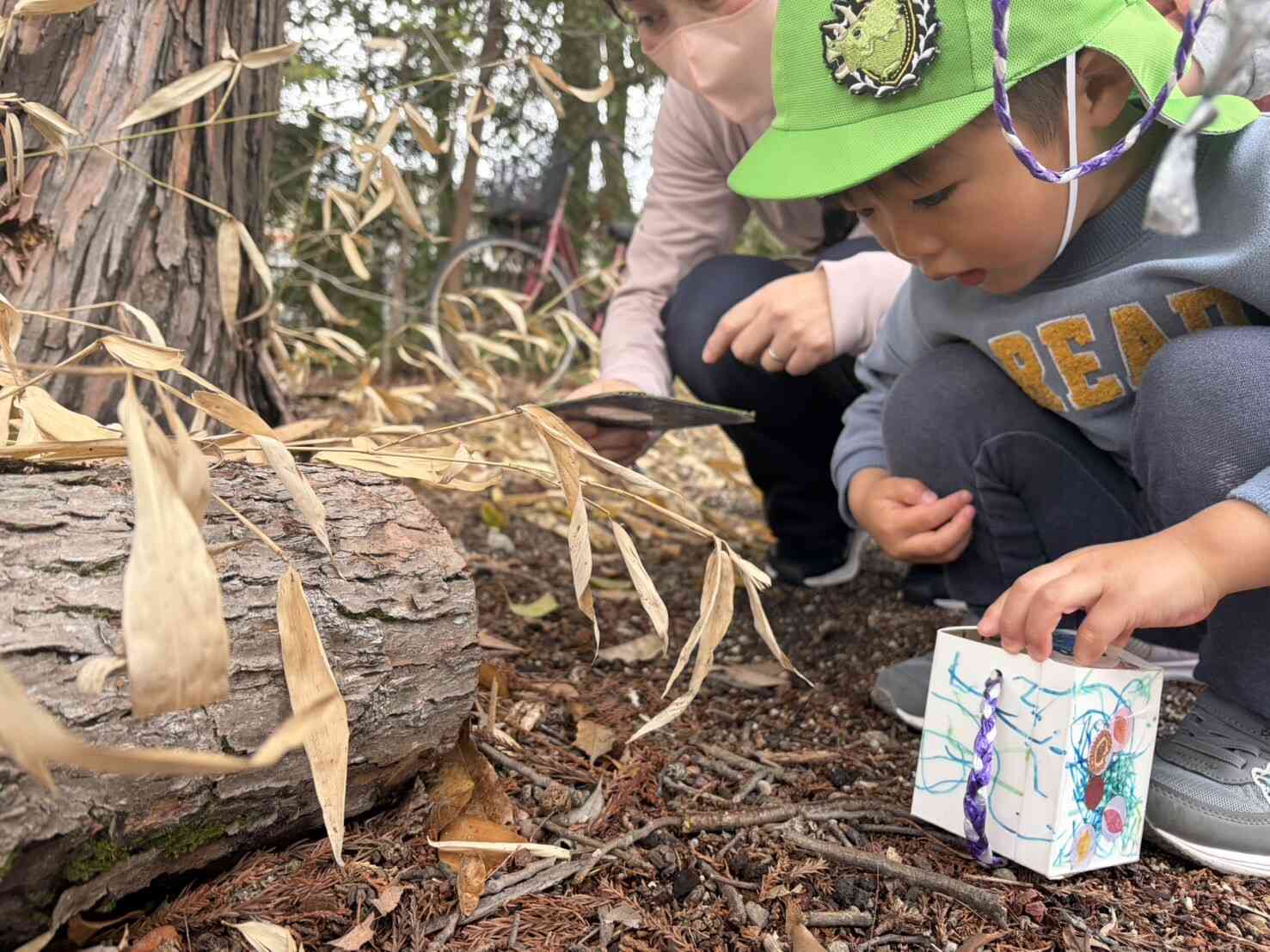 「ここにちいさいどんぐりがある」