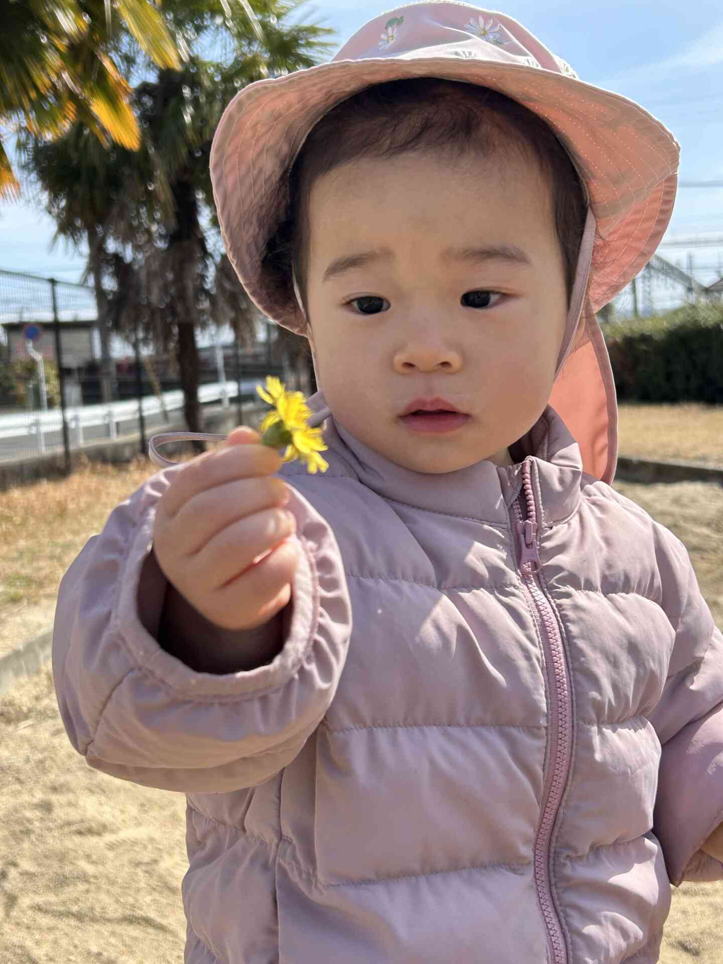 『たんぽぽ見つけたよ』春の訪れを感じました！