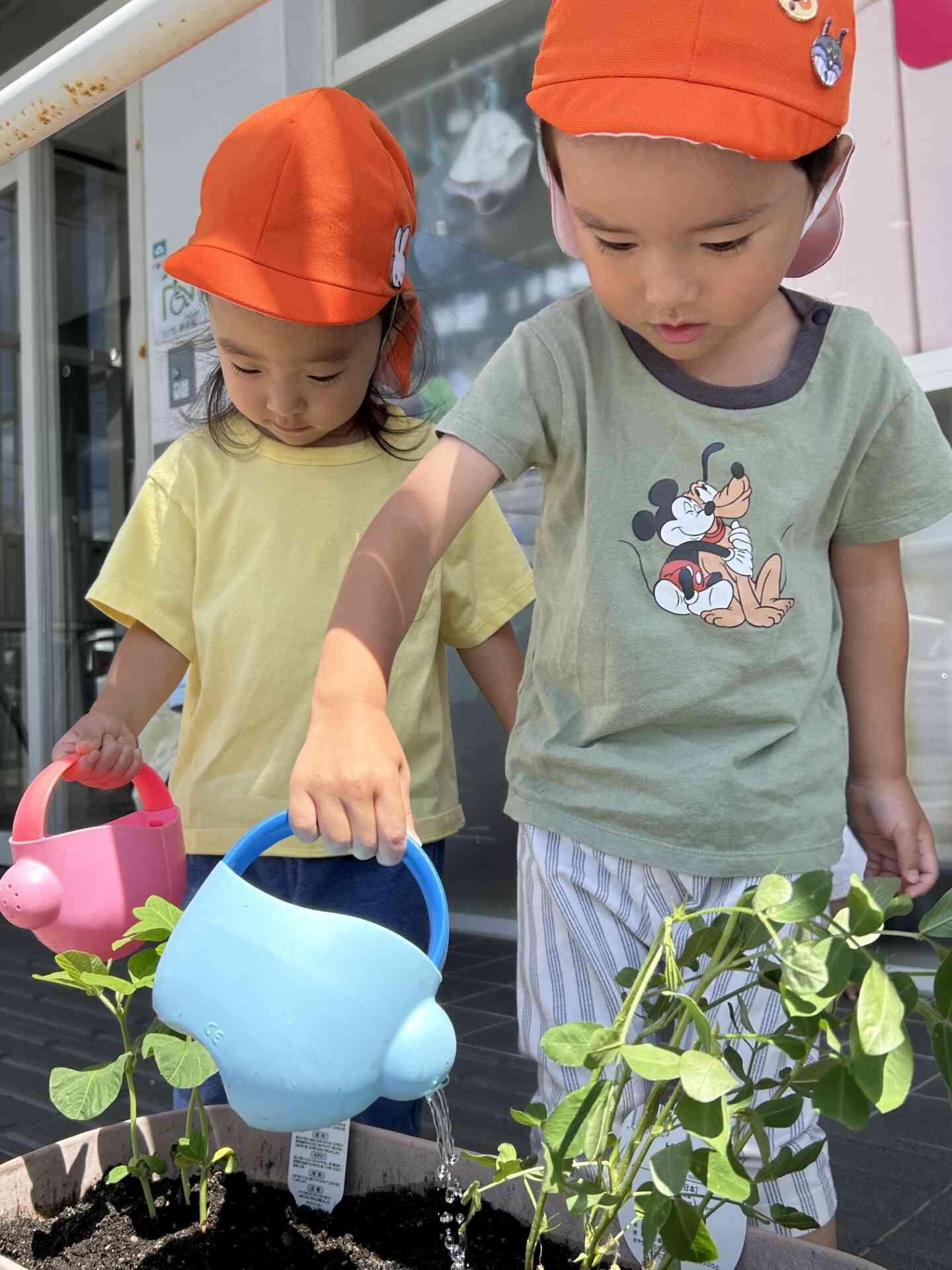 お当番さんペア!上手にお水をあげてくれていました。