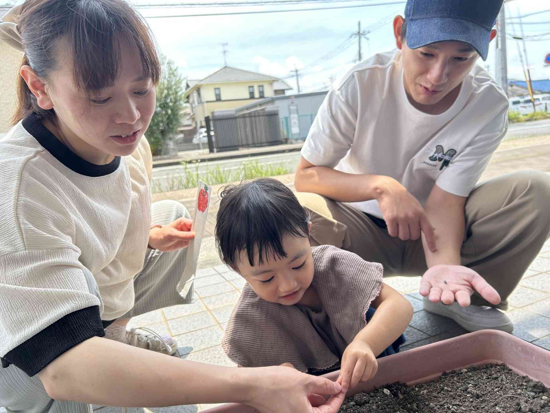 ひまわりの種って小さいね!