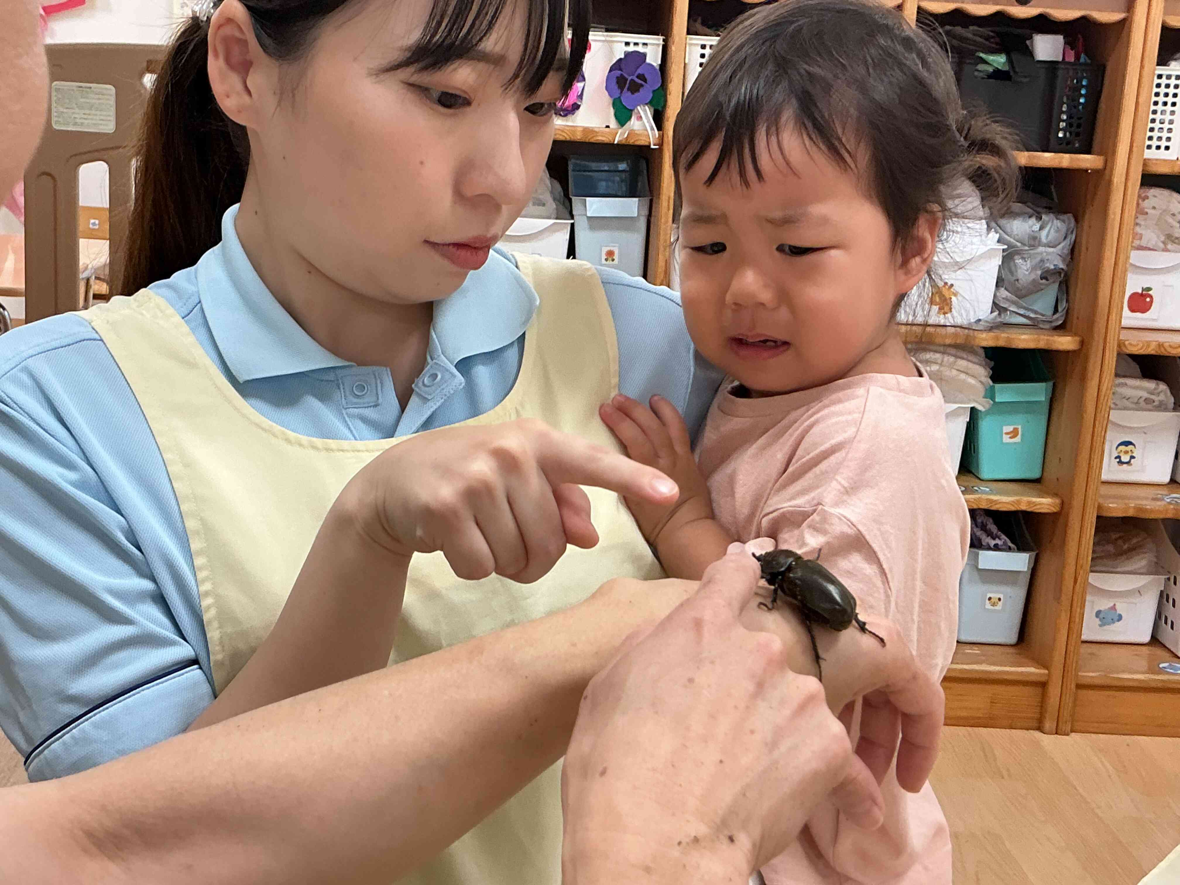 カブトムシ　初めてです・・・
