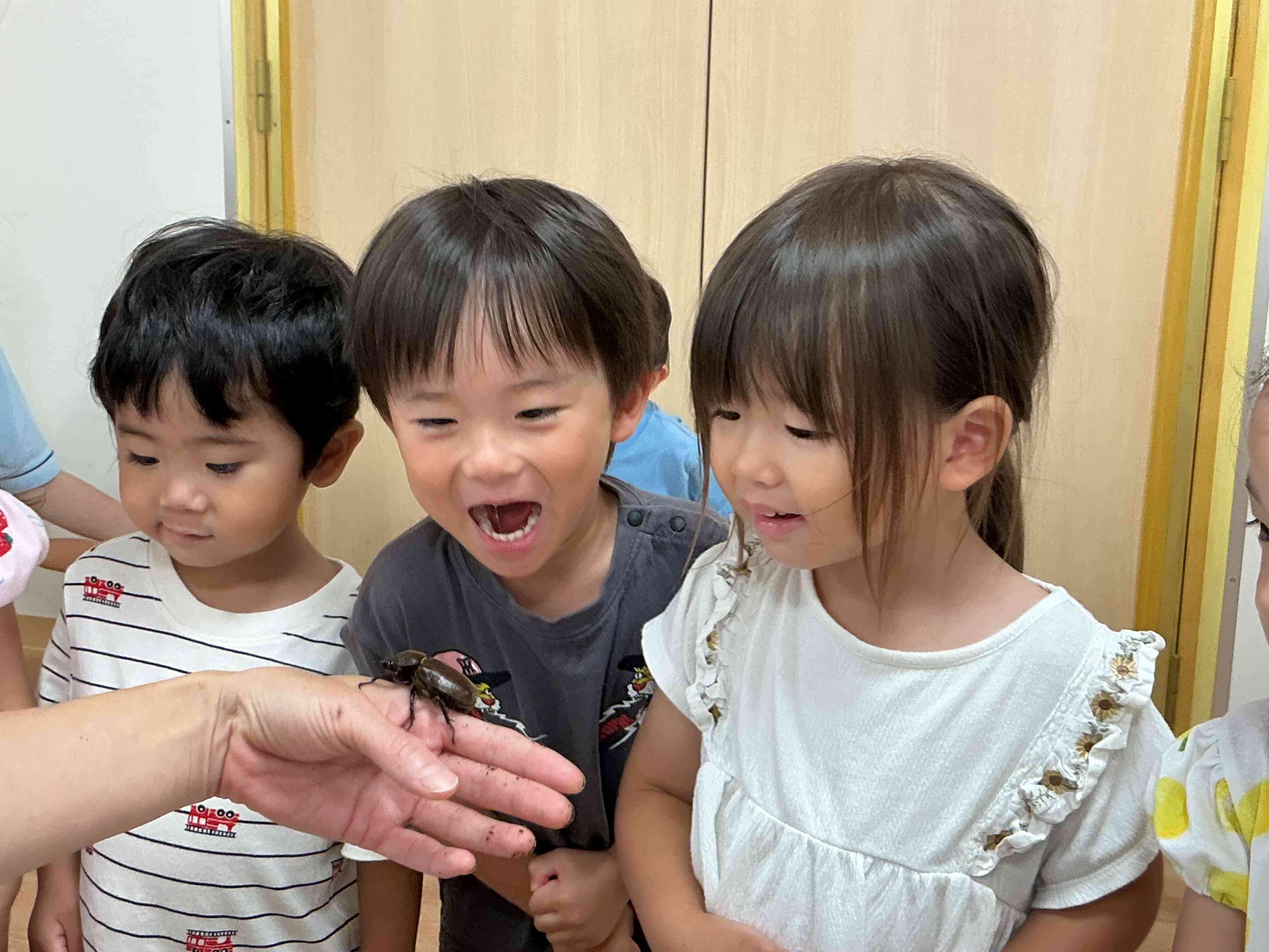 カブトムシのお誕生日会！